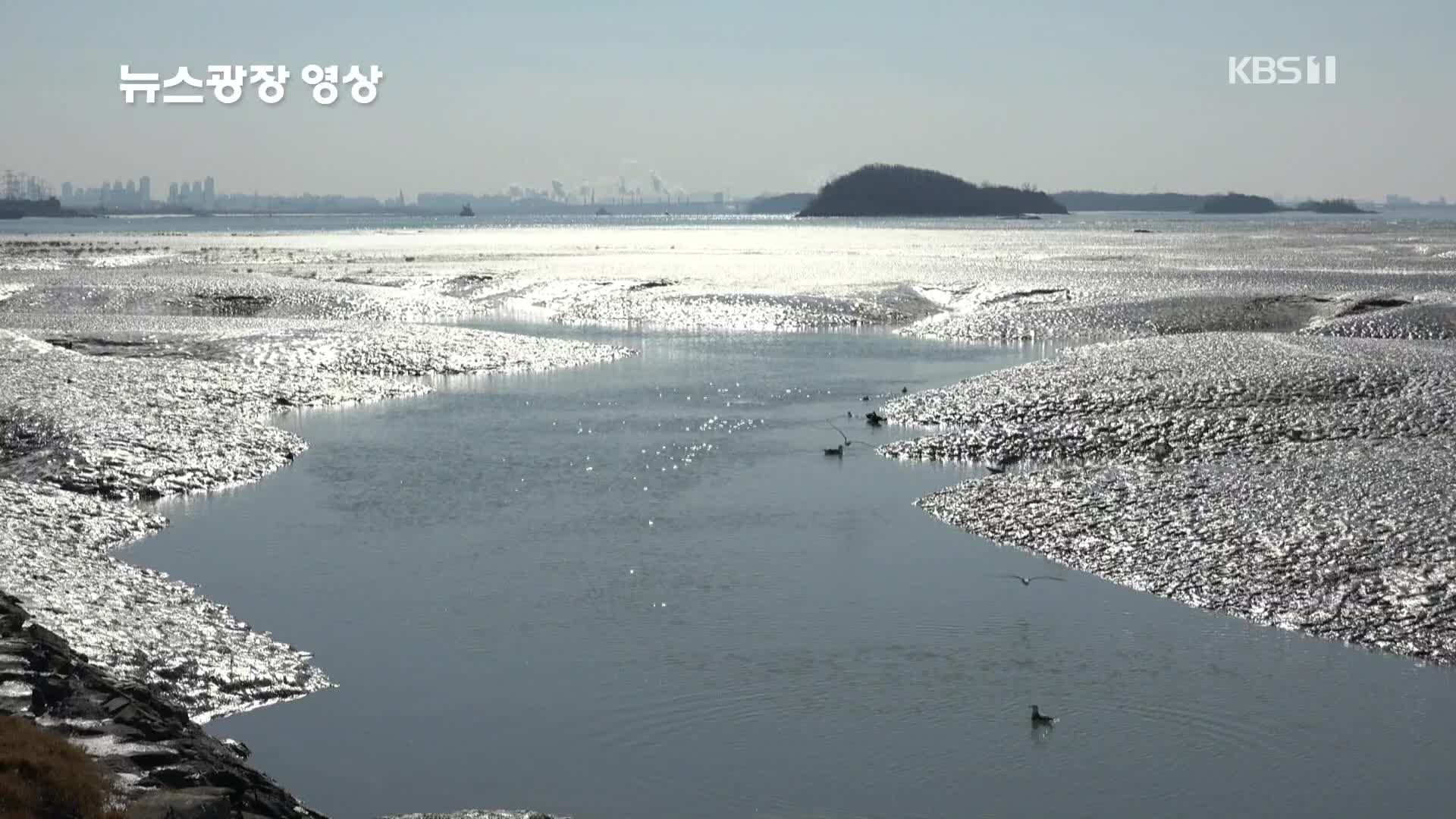 [뉴스광장 영상] 황산도 갯골