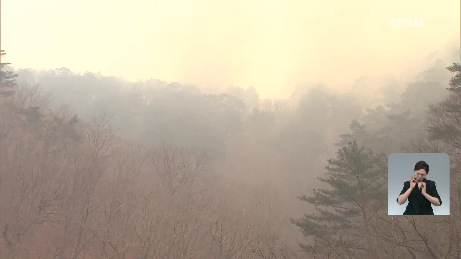 번지면 제2의 대형 산불…최고 가치 ‘금강송’