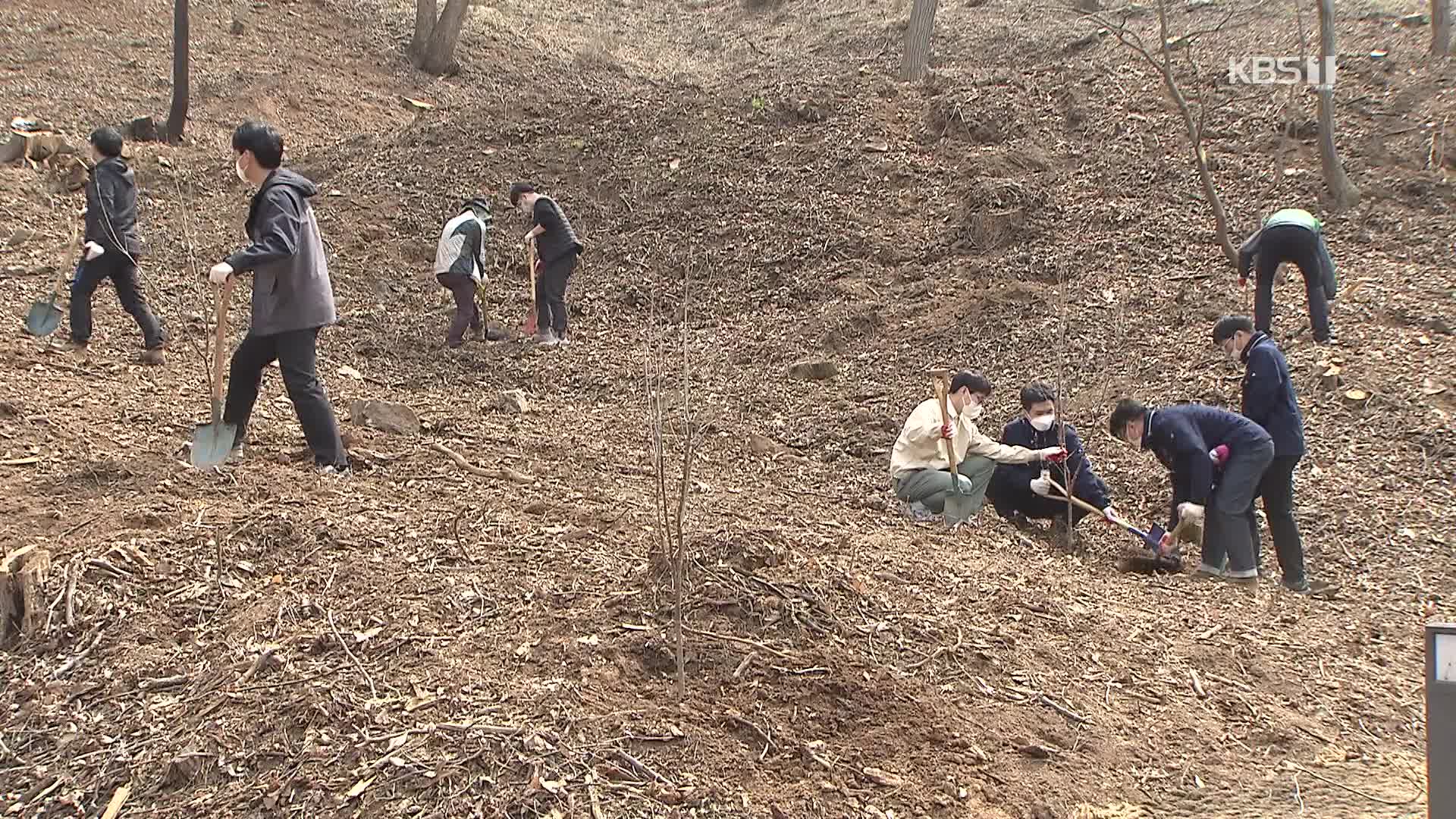 “꿀벌 살리자” 식목일 맞아 ‘밀원 숲’ 조성