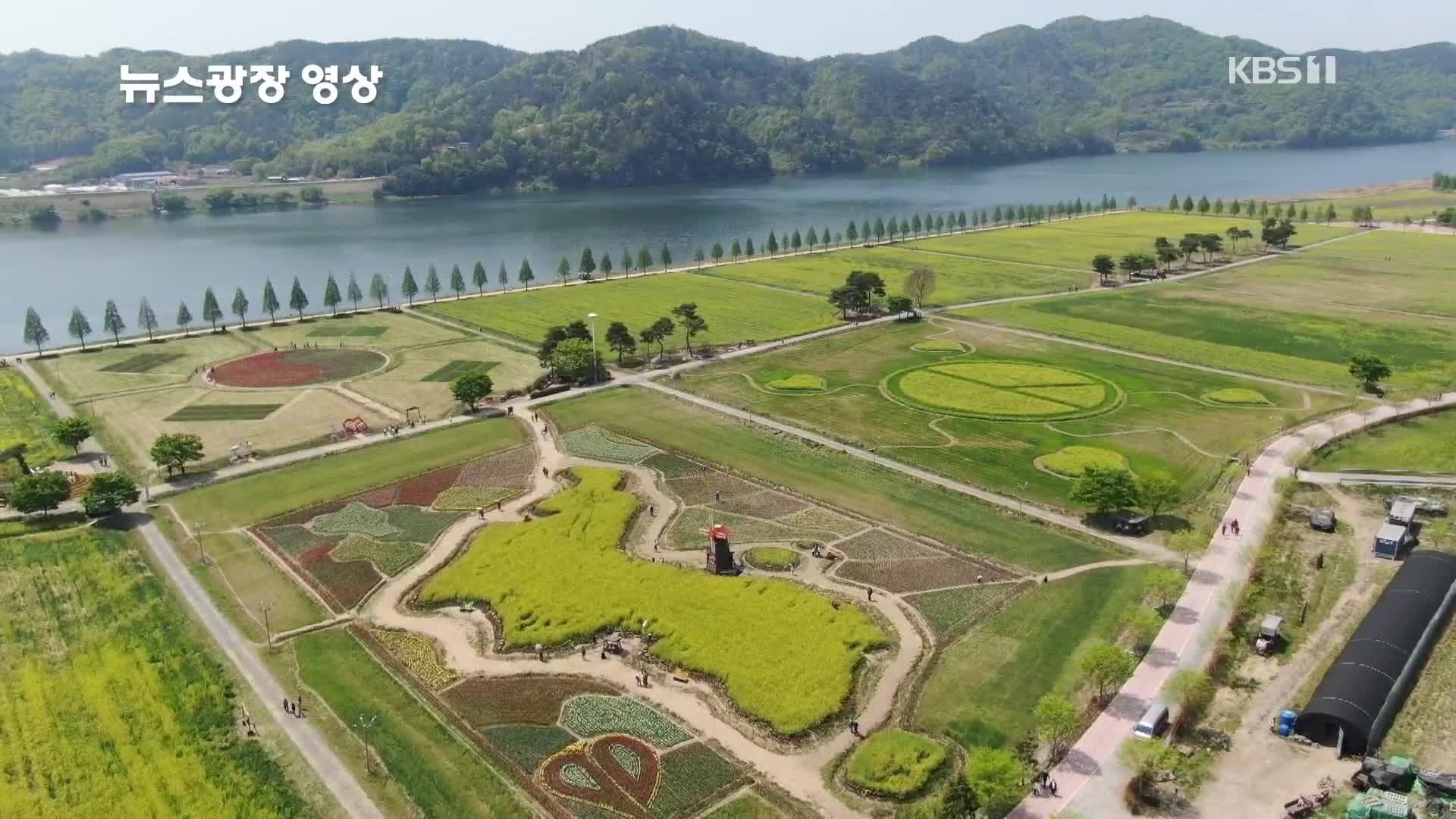 [뉴스광장 영상] 낙동강 유채꽃