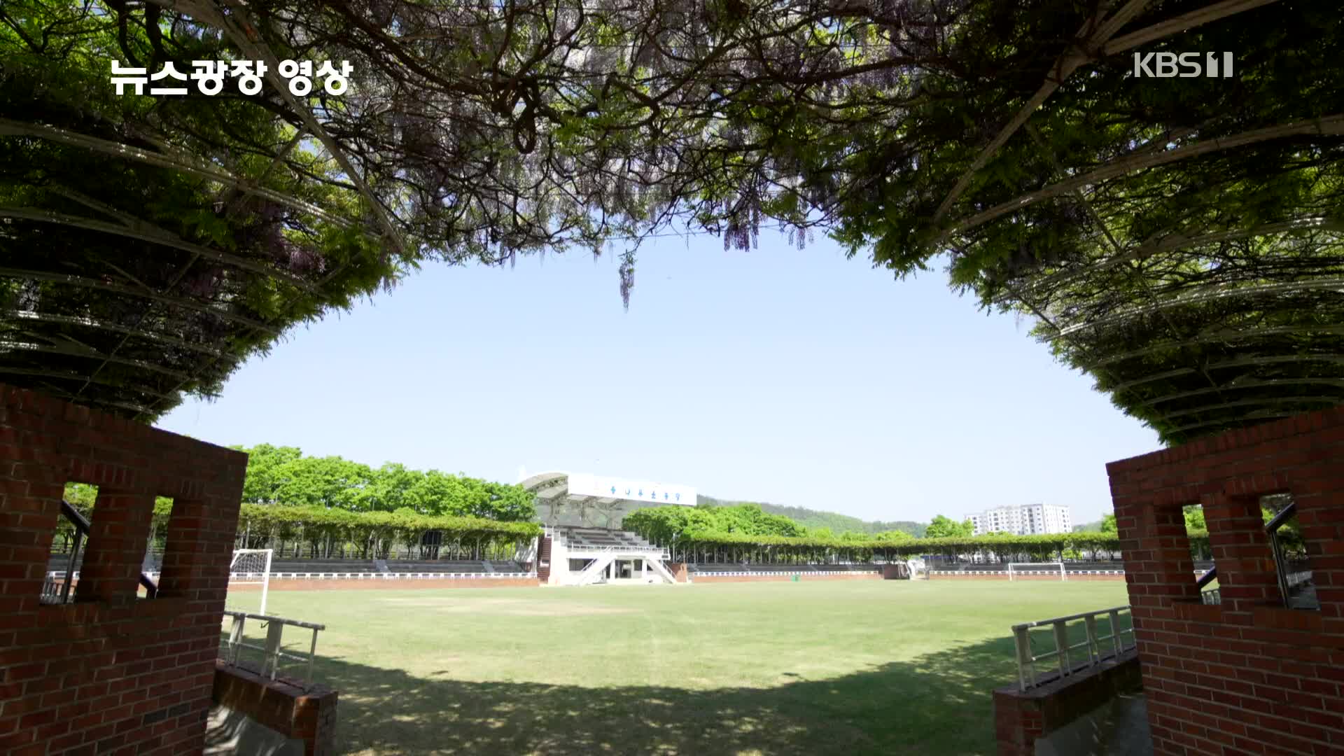 [뉴스광장 영상] 등나무 운동장