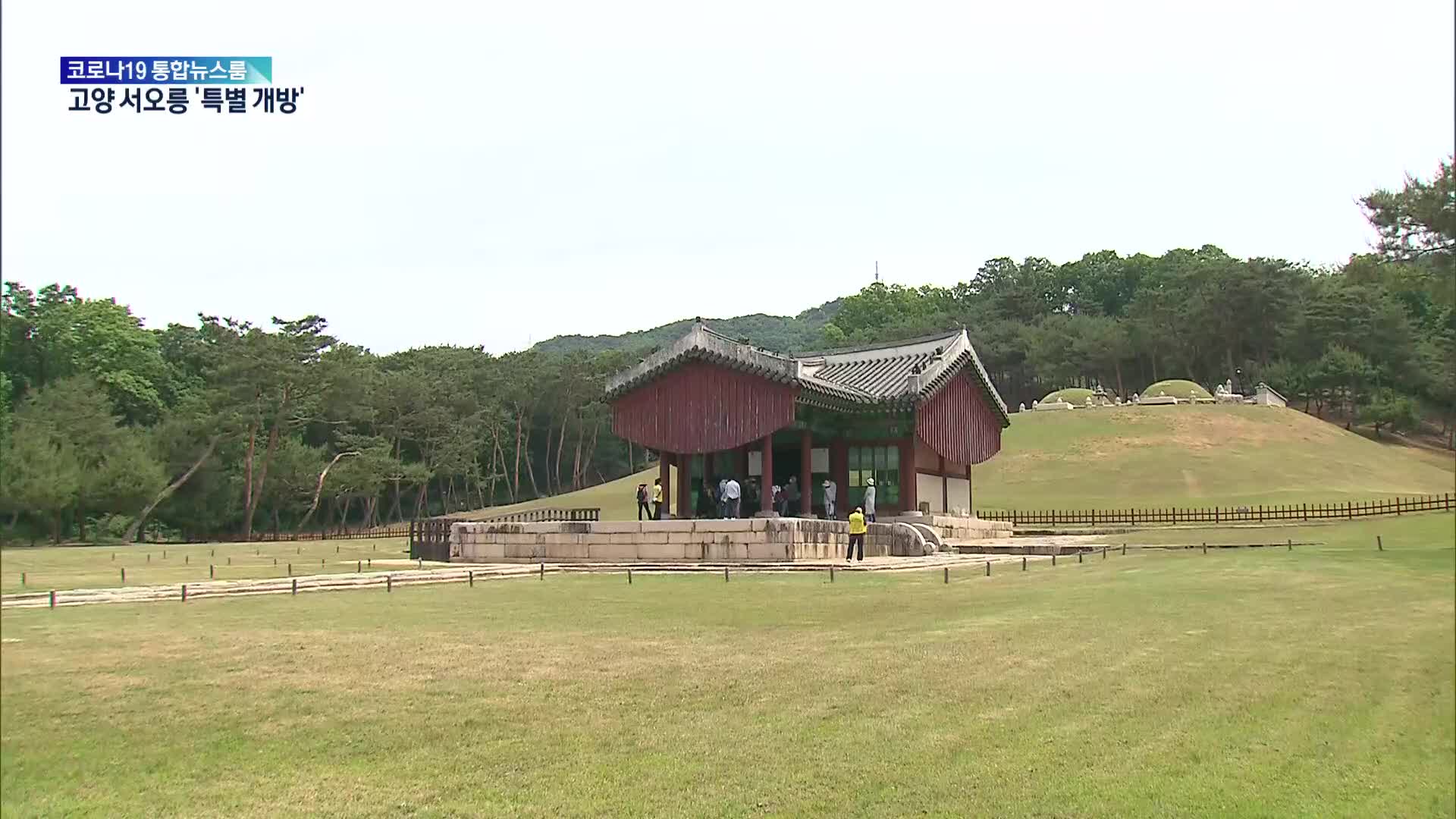 조선왕릉서 역사 공부…거리두기 풀리니 인기!