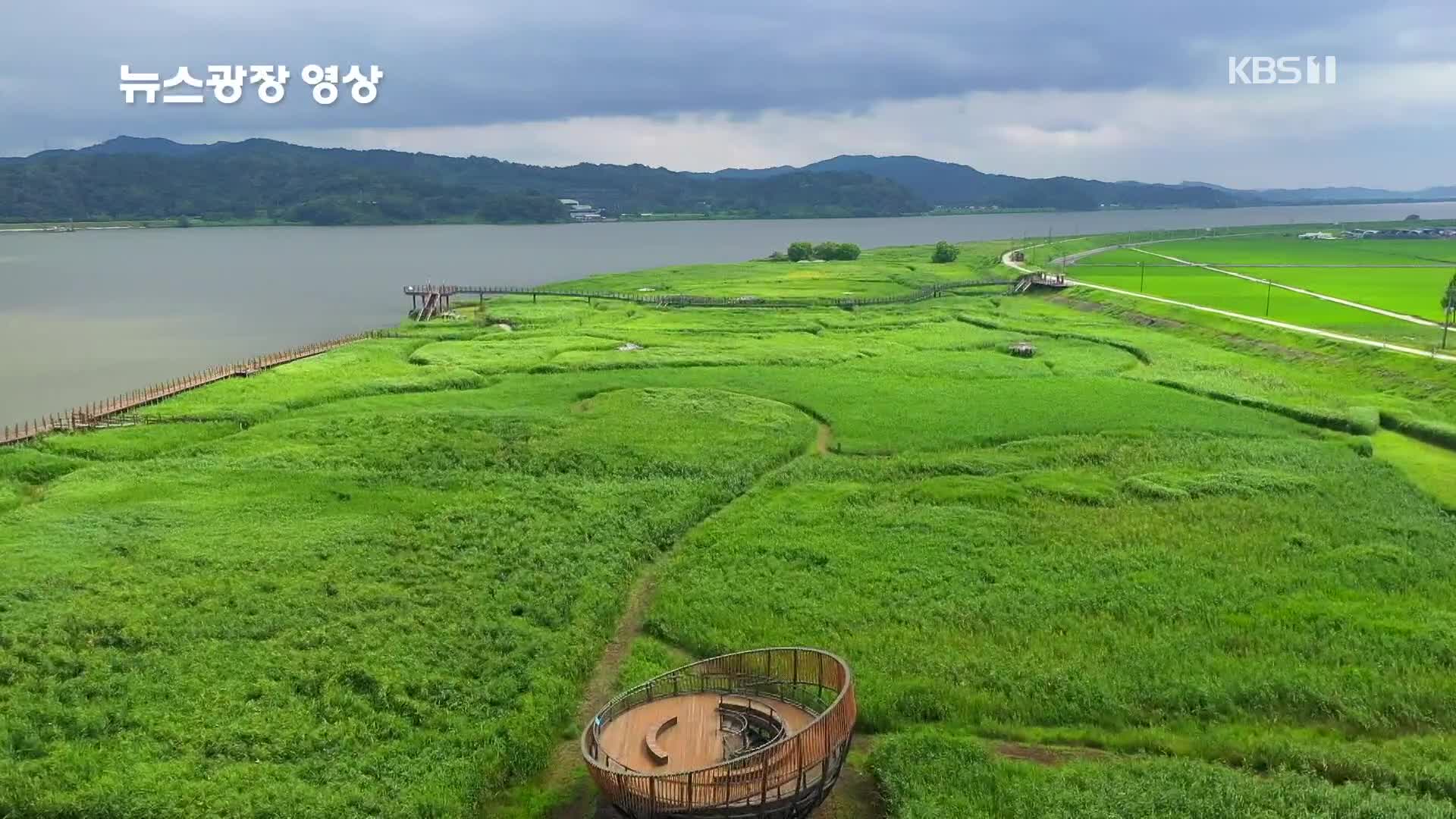[뉴스광장 영상] 신성리 갈대밭