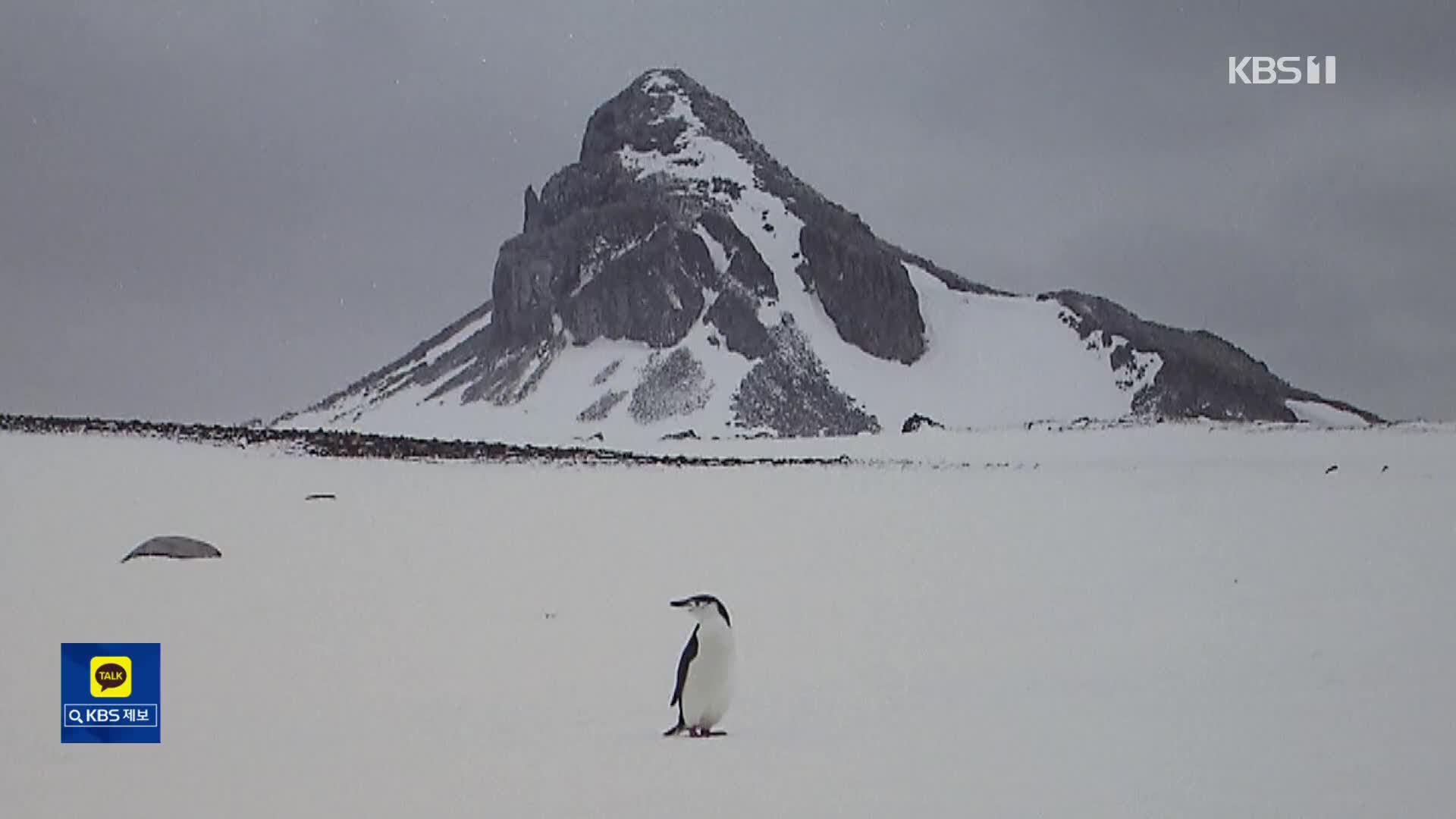 때 묻지 않은 절대 순수의 세계…사진으로 만나는 ‘남극’