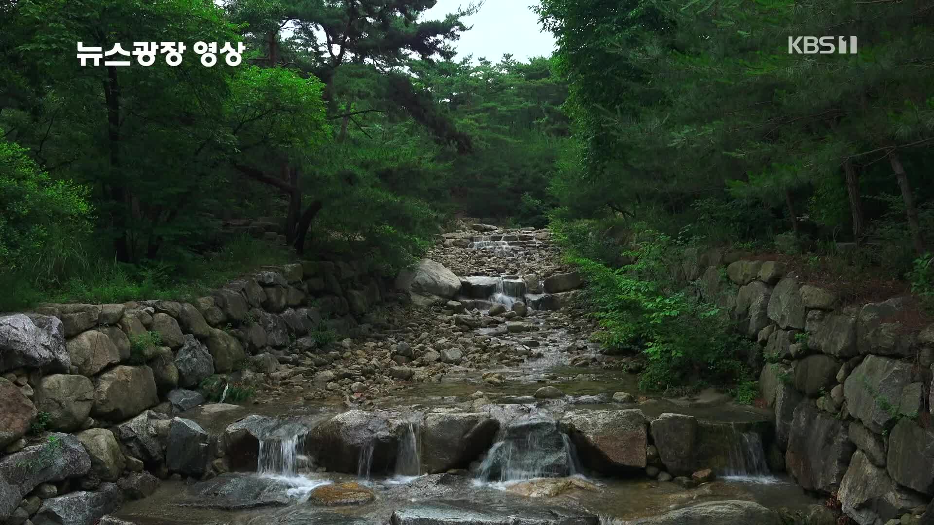 [뉴스광장 영상] 관악산 계곡