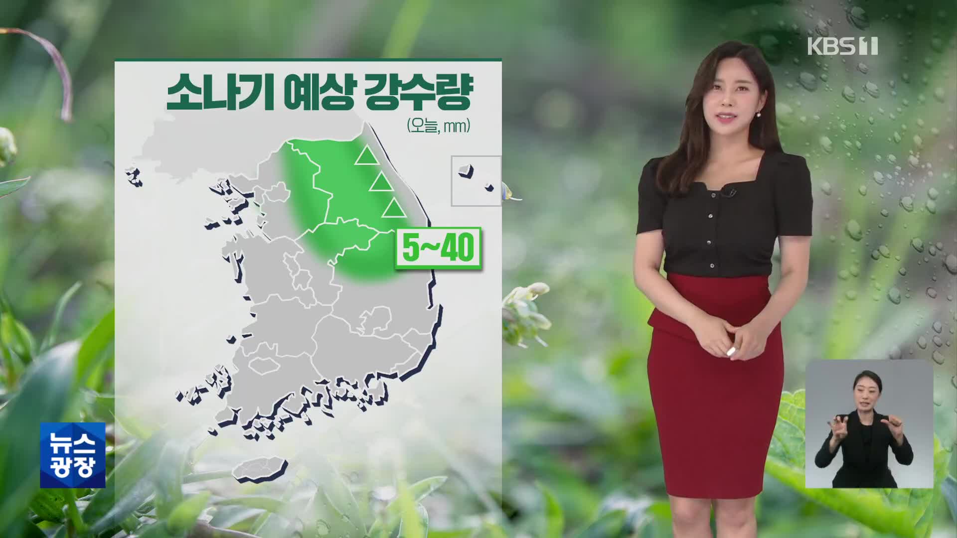 [출근길 날씨] 중부 내륙 소나기…내일 오후부터 다시 비