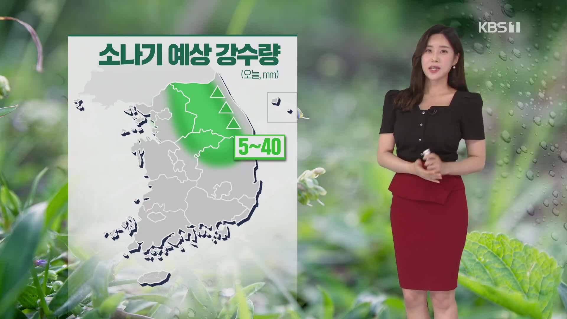 [출근길 날씨] 중부 내륙 소나기…내일 오후부터 다시 비