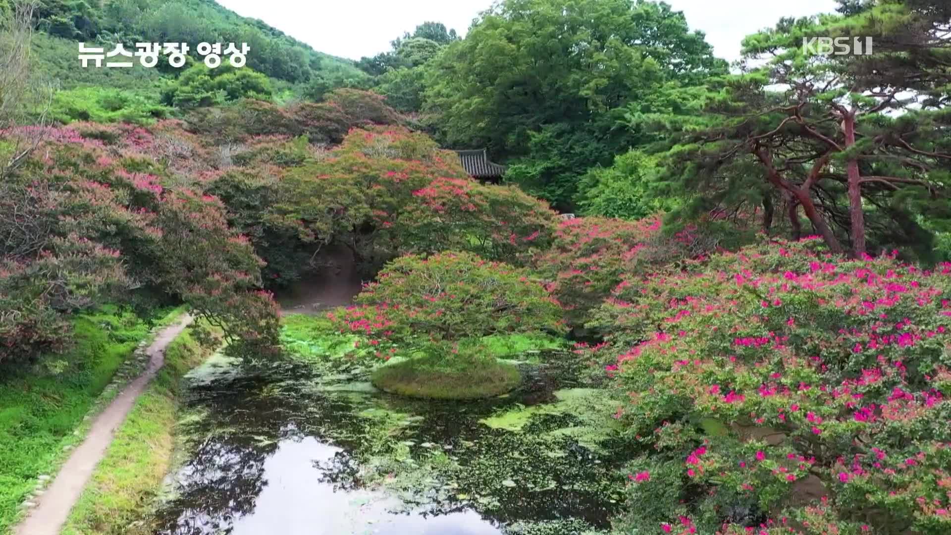 [뉴스광장 영상] 명옥헌 원림