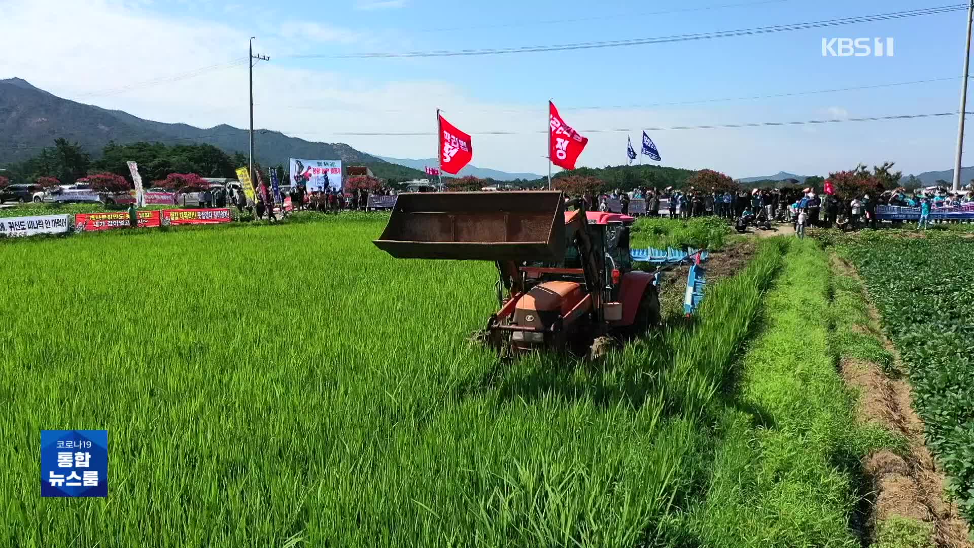 “쌀값 하락 책임져야”…논 갈아엎은 농민