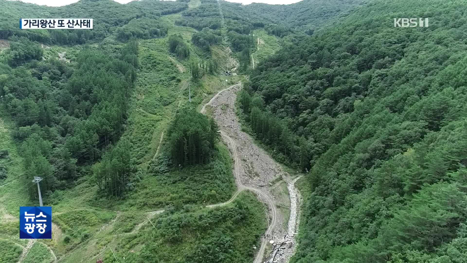 평창올림픽 가리왕산 또 산사태…“태풍 오는데 어떡해”
