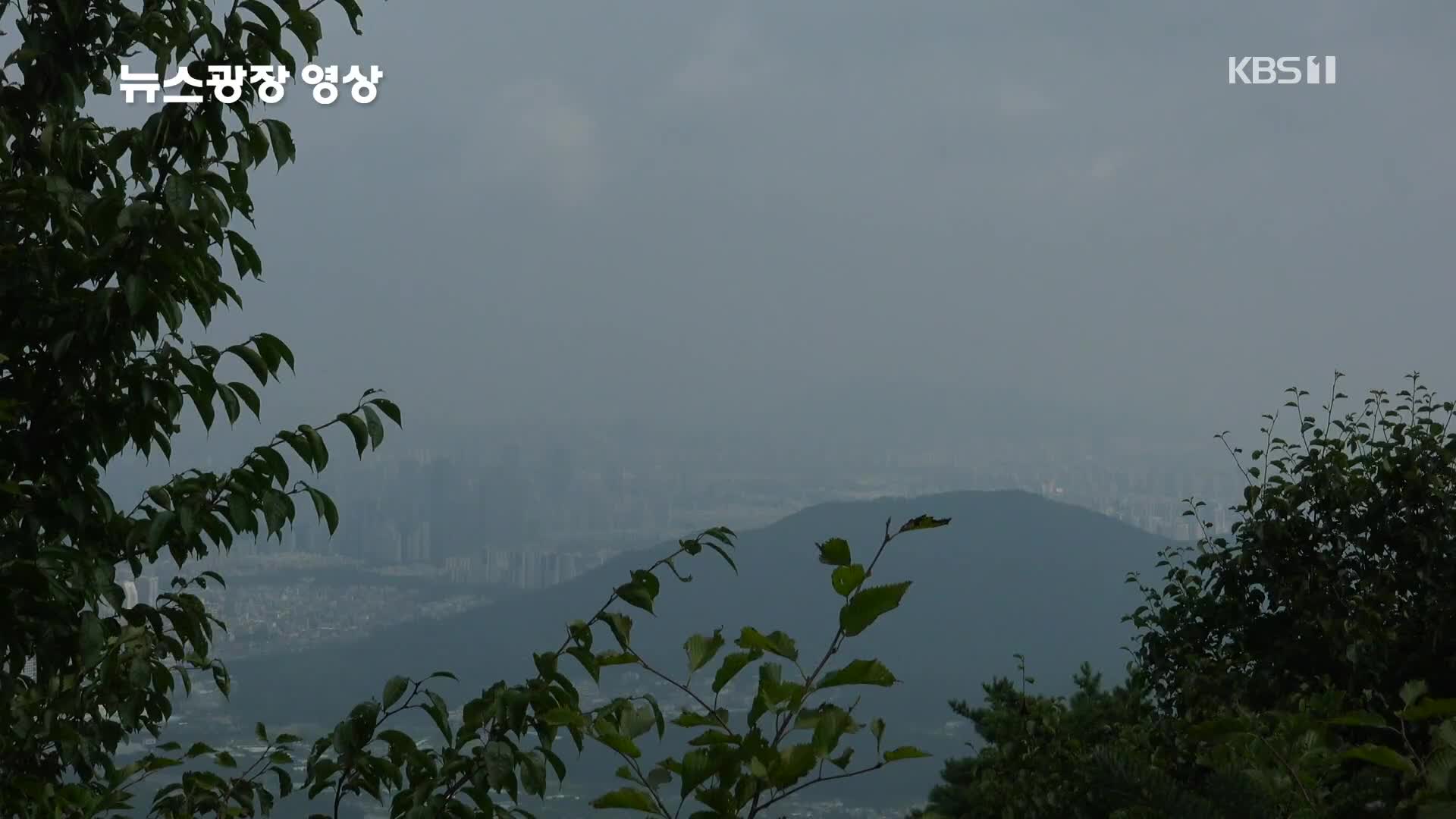 [뉴스광장 영상] 청계산
