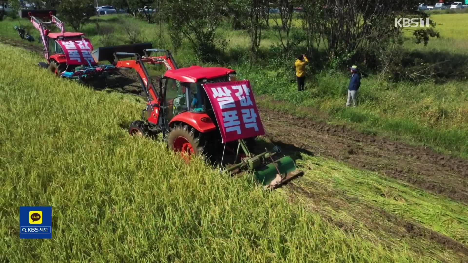 “쌀값 보장하라”…추수 앞둔 논 갈아 엎은 성난 농심