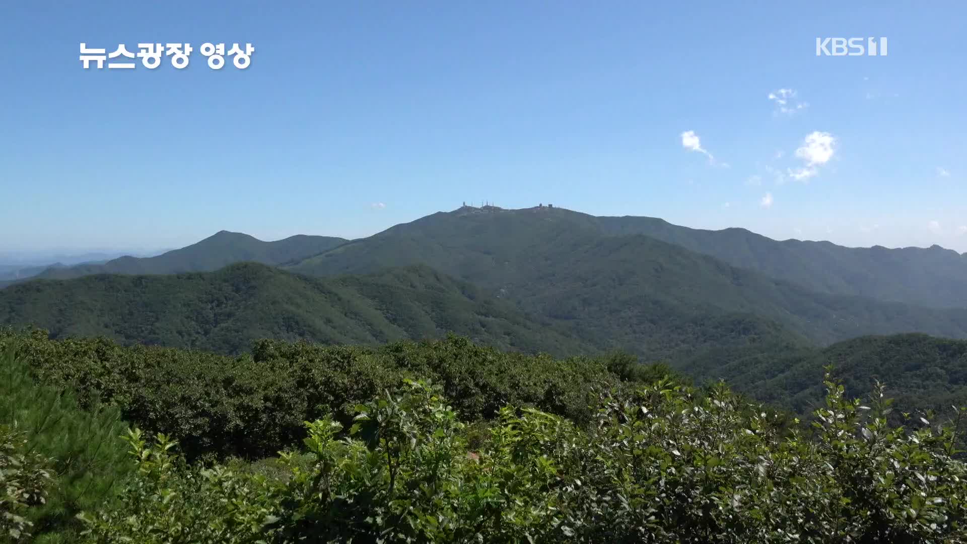 [뉴스광장 영상] 유명산에서 본 풍경