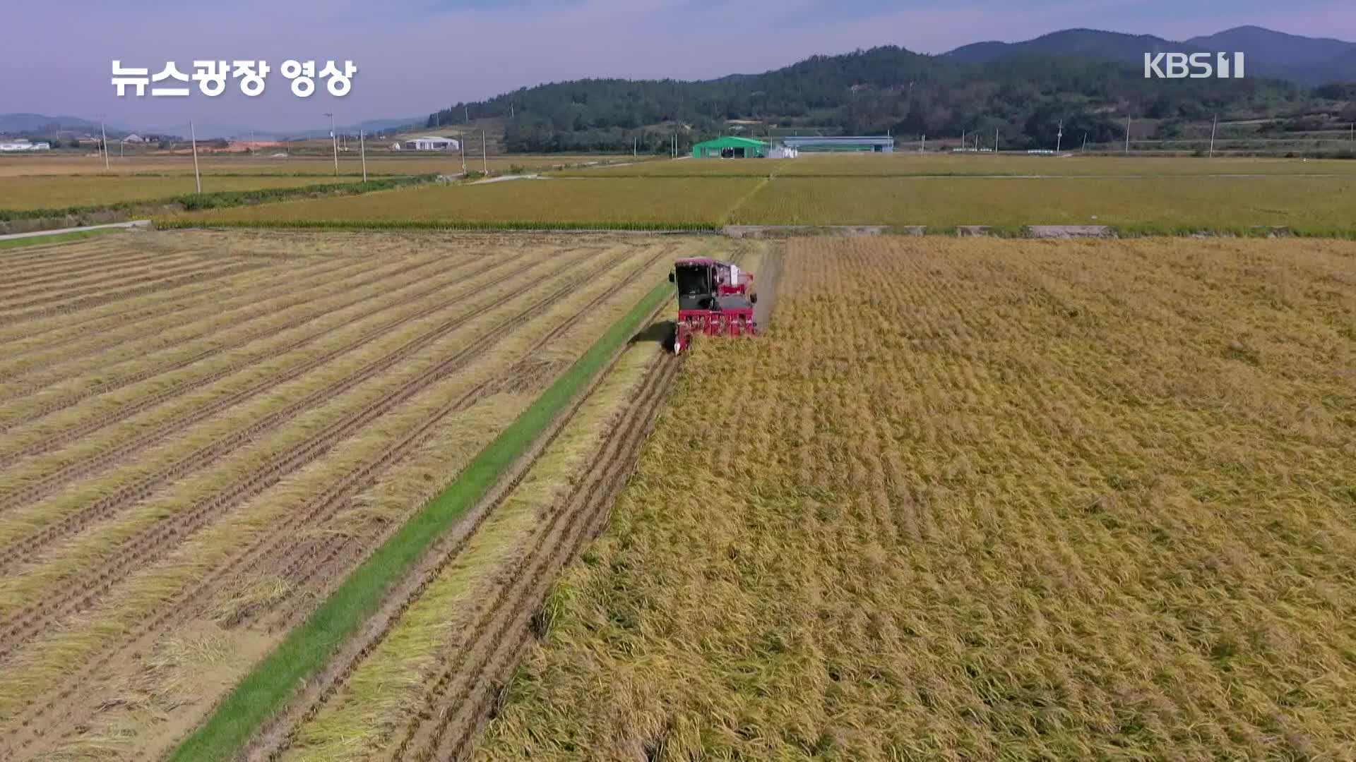 [뉴스광장 영상] 가을 추수