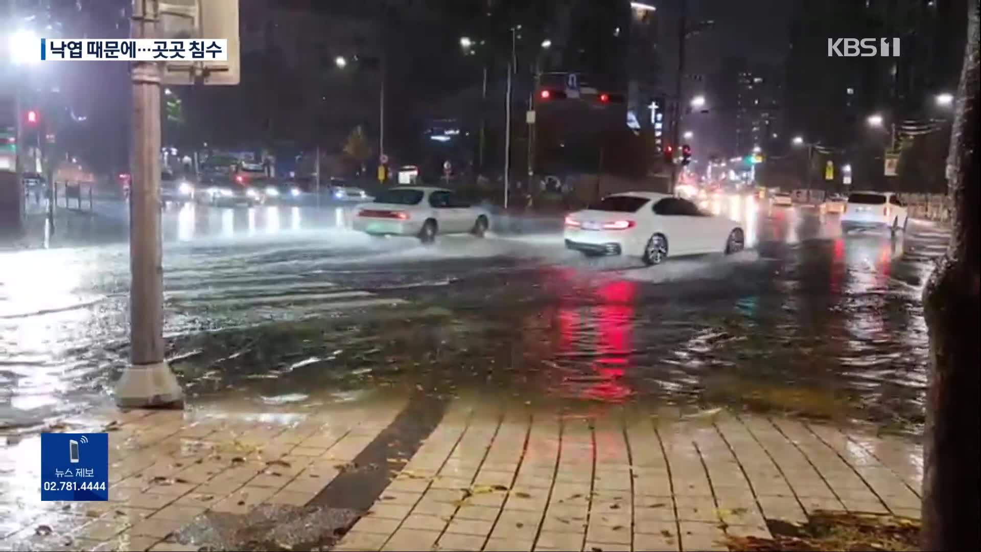 가을비에 수도권 등 침수 피해…“낙엽이 배수로 막아”