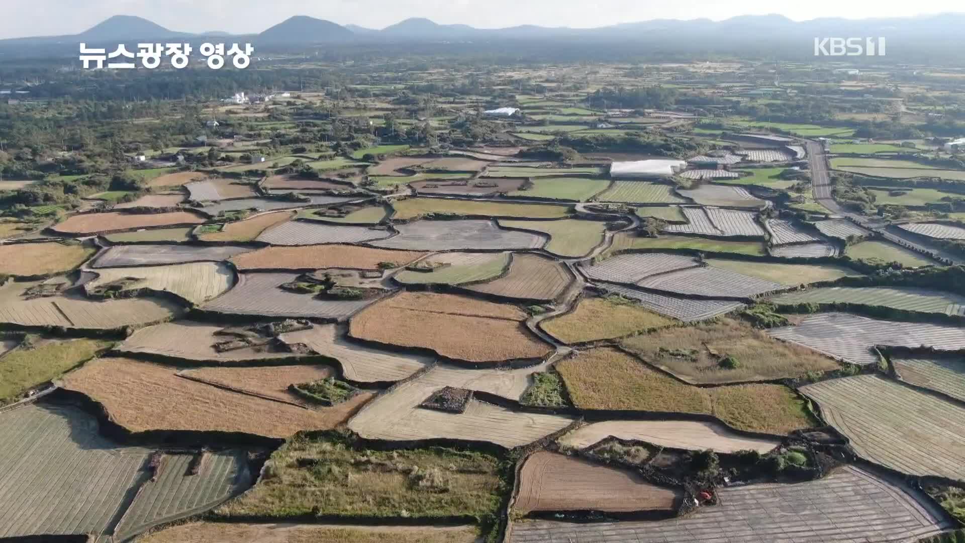 [뉴스광장 영상] 진빌레 밭담길