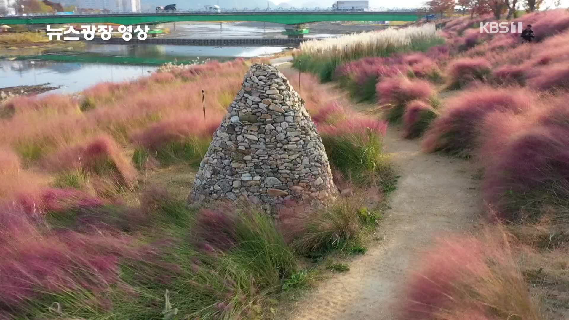 [뉴스광장 영상] 가을 황룡강