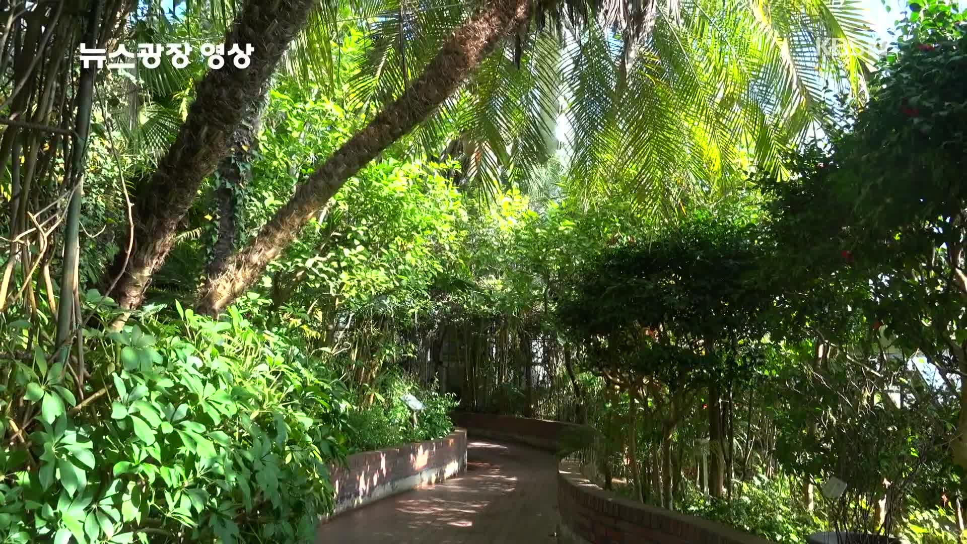 [뉴스광장 영상] 어린이대공원 식물원