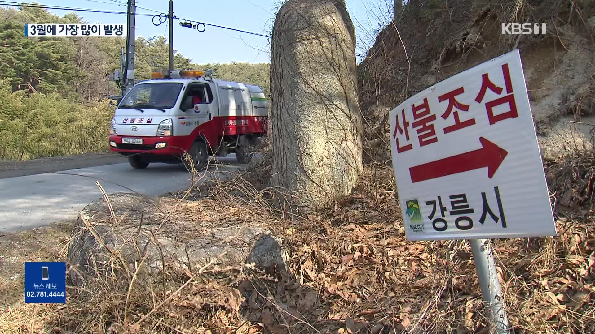 10년간 산불 최다 ‘3월’…건조특보에 강풍까지