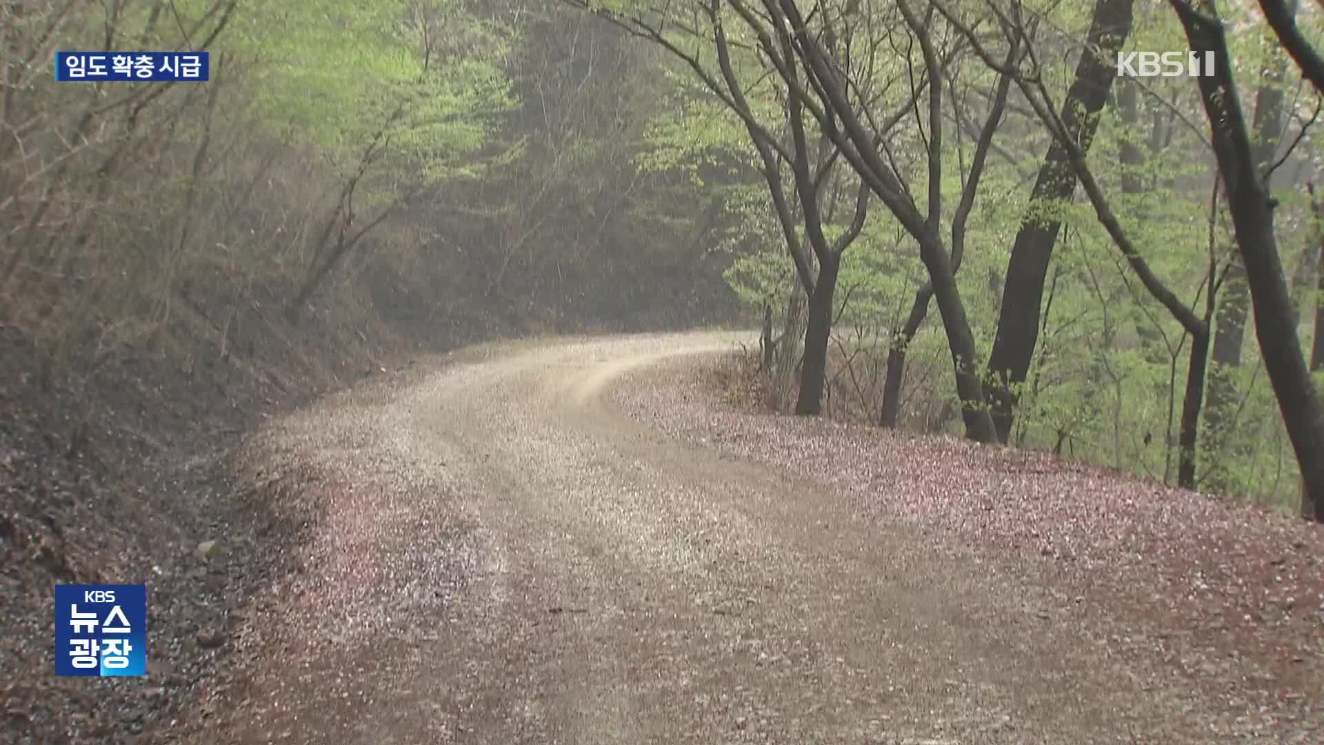 “선진국의 1/14 수준”…임도 확충 시급