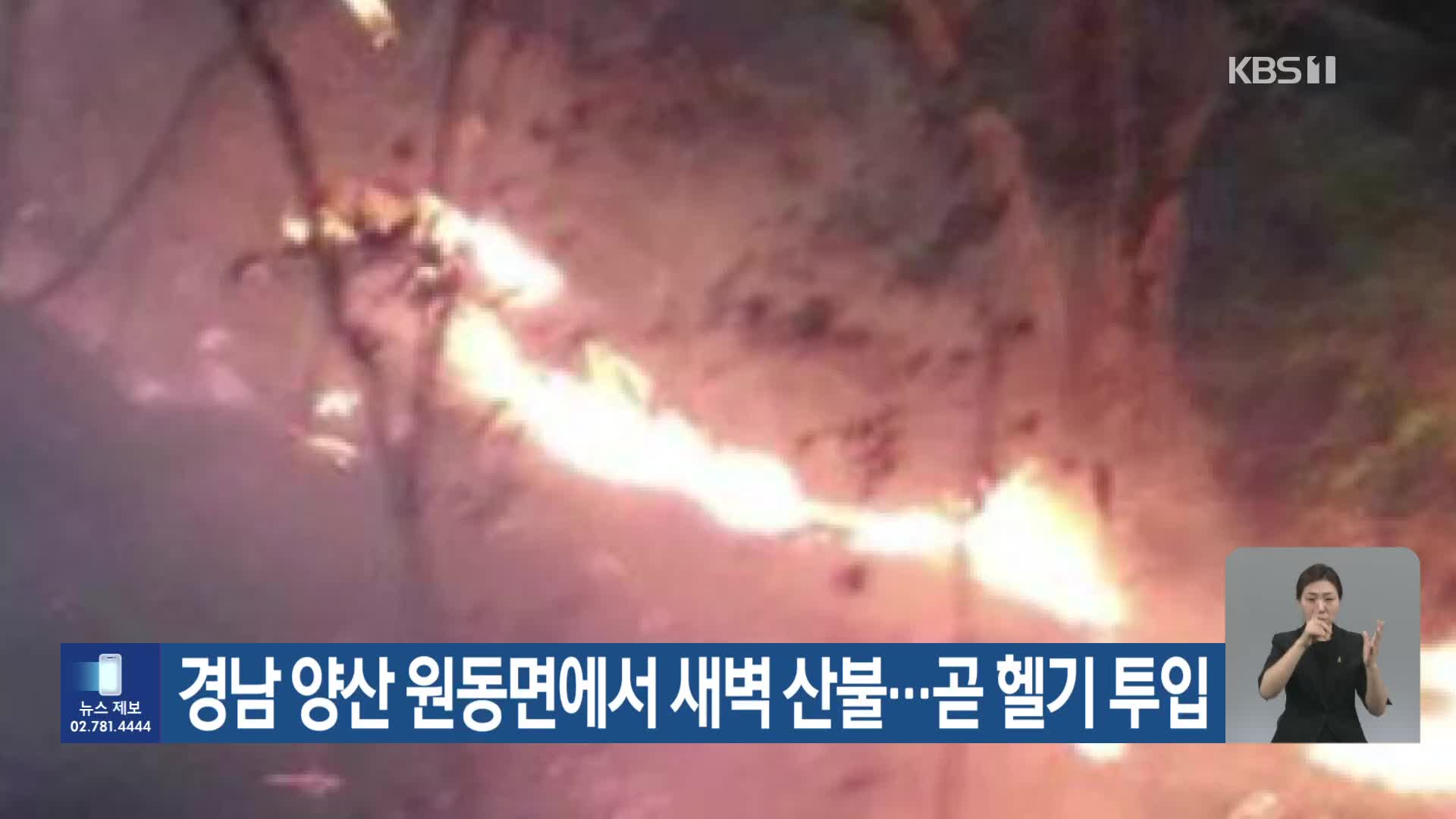 경남 양산 원동면에서 새벽 산불…곧 헬기 투입