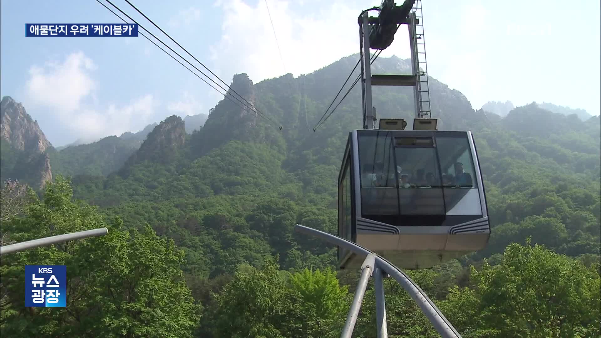 설악산도 되는데 우리도?…우후죽순 케이블카 애물단지 우려