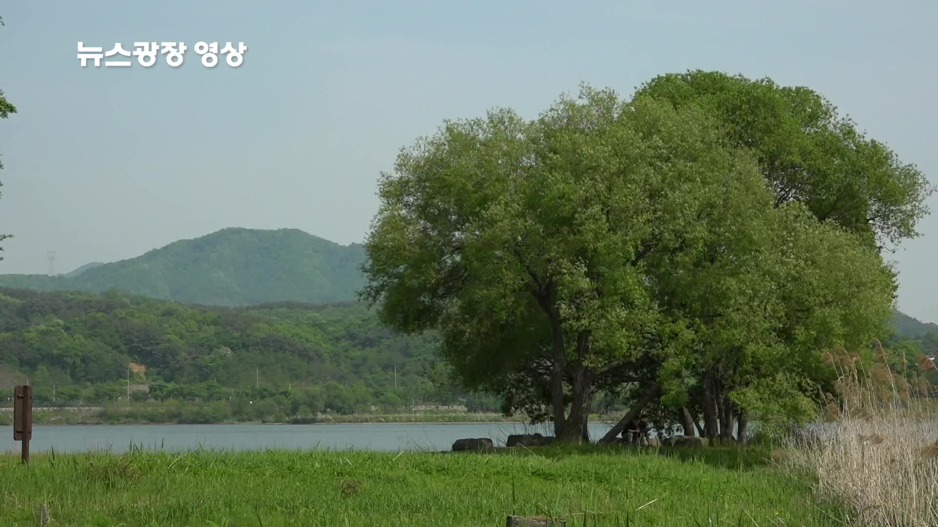 [뉴스광장 영상] 물의정원