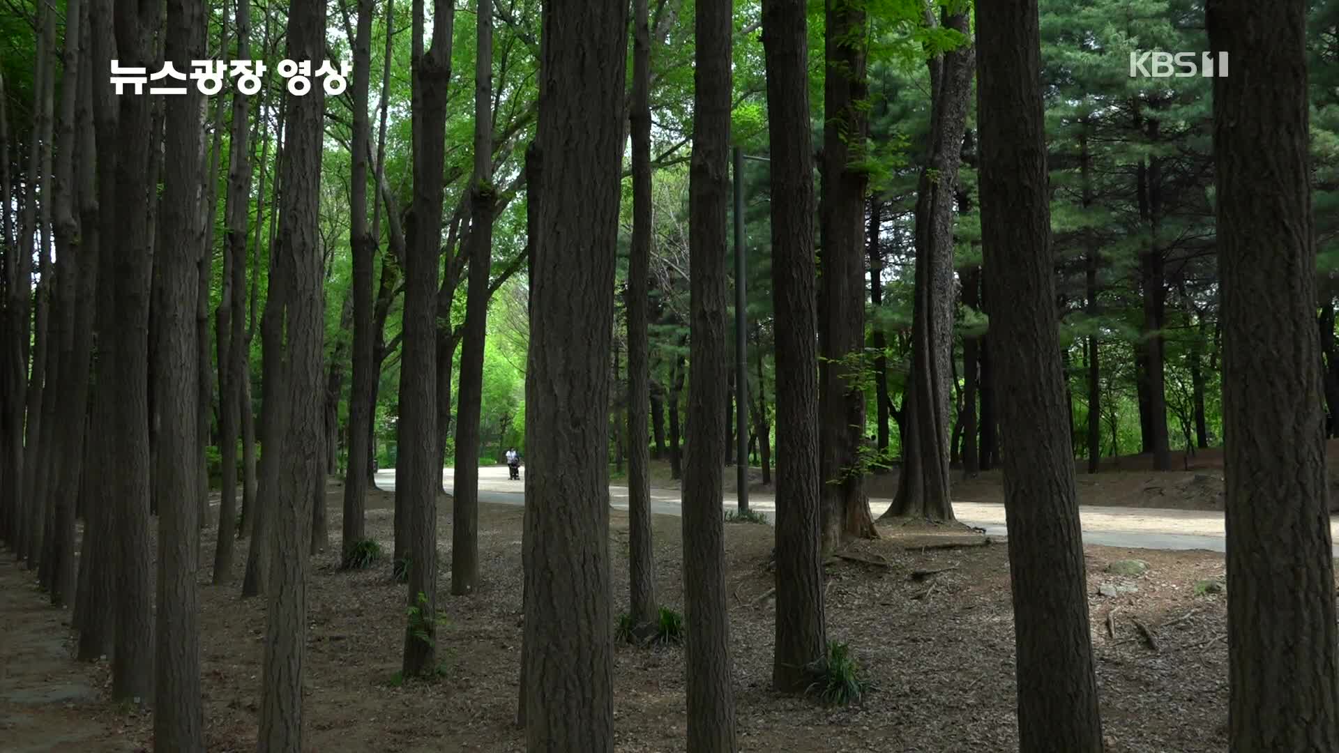 [뉴스광장 영상] 서울숲
