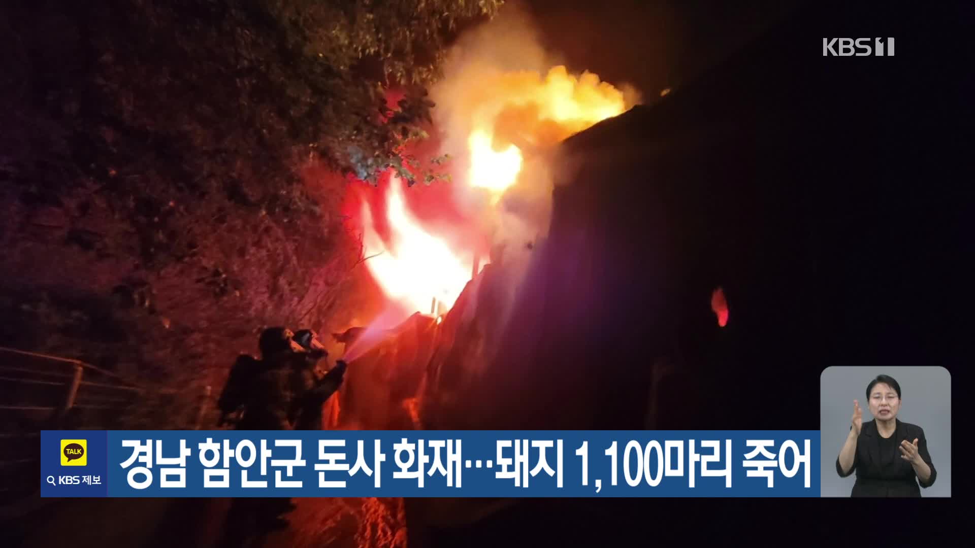 경남 함안군 돈사 화재…돼지 1,100 마리 죽어