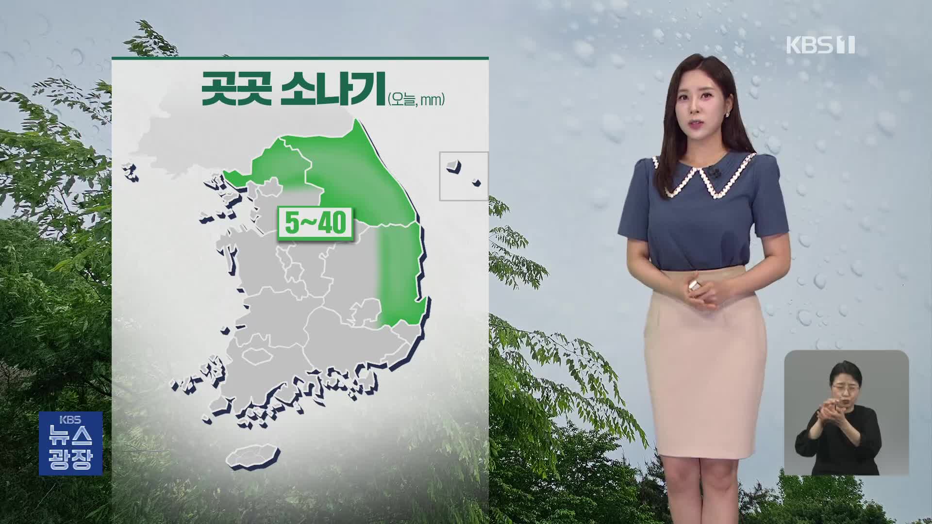 [광장 날씨] 오전까지 제주도 비…오후에 경기 북부·강원·경북 소나기