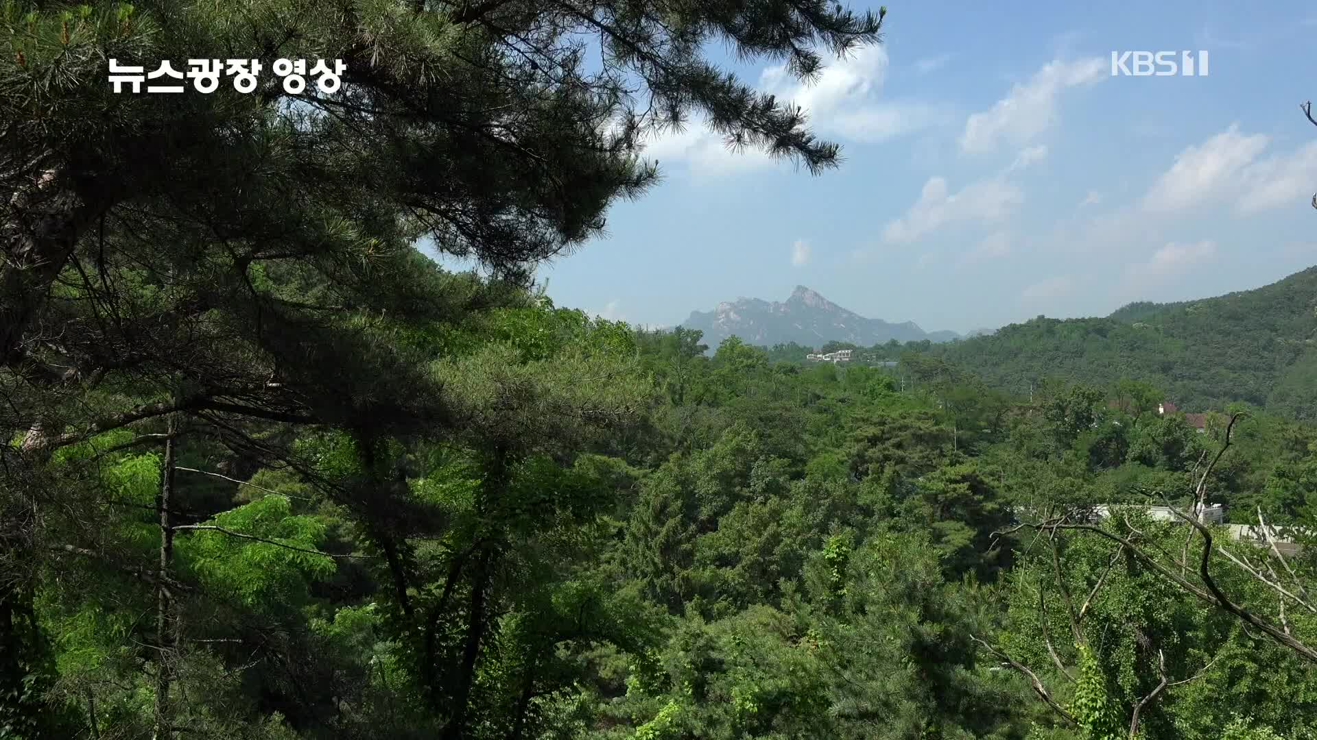 [뉴스광장 영상] 인왕산자락길