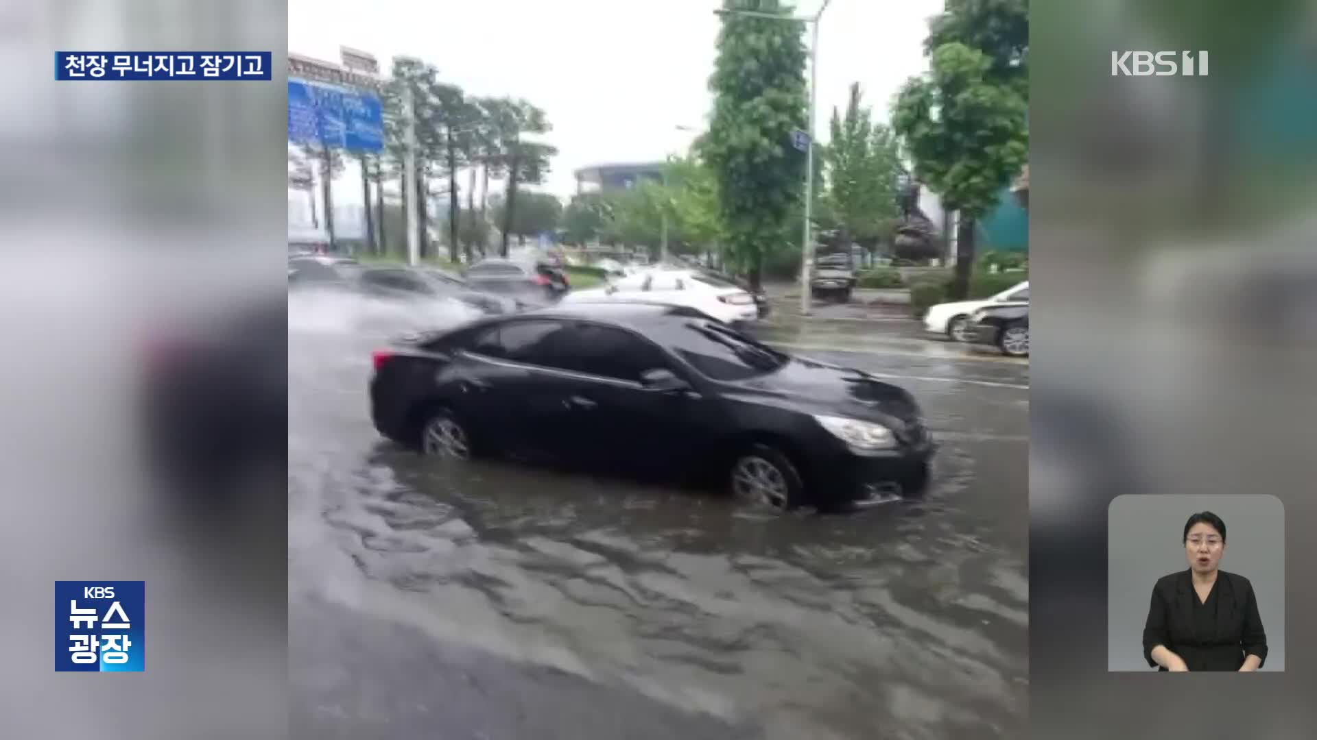 시간당 50mm 기습 폭우…광주·전남에도 피해 속출