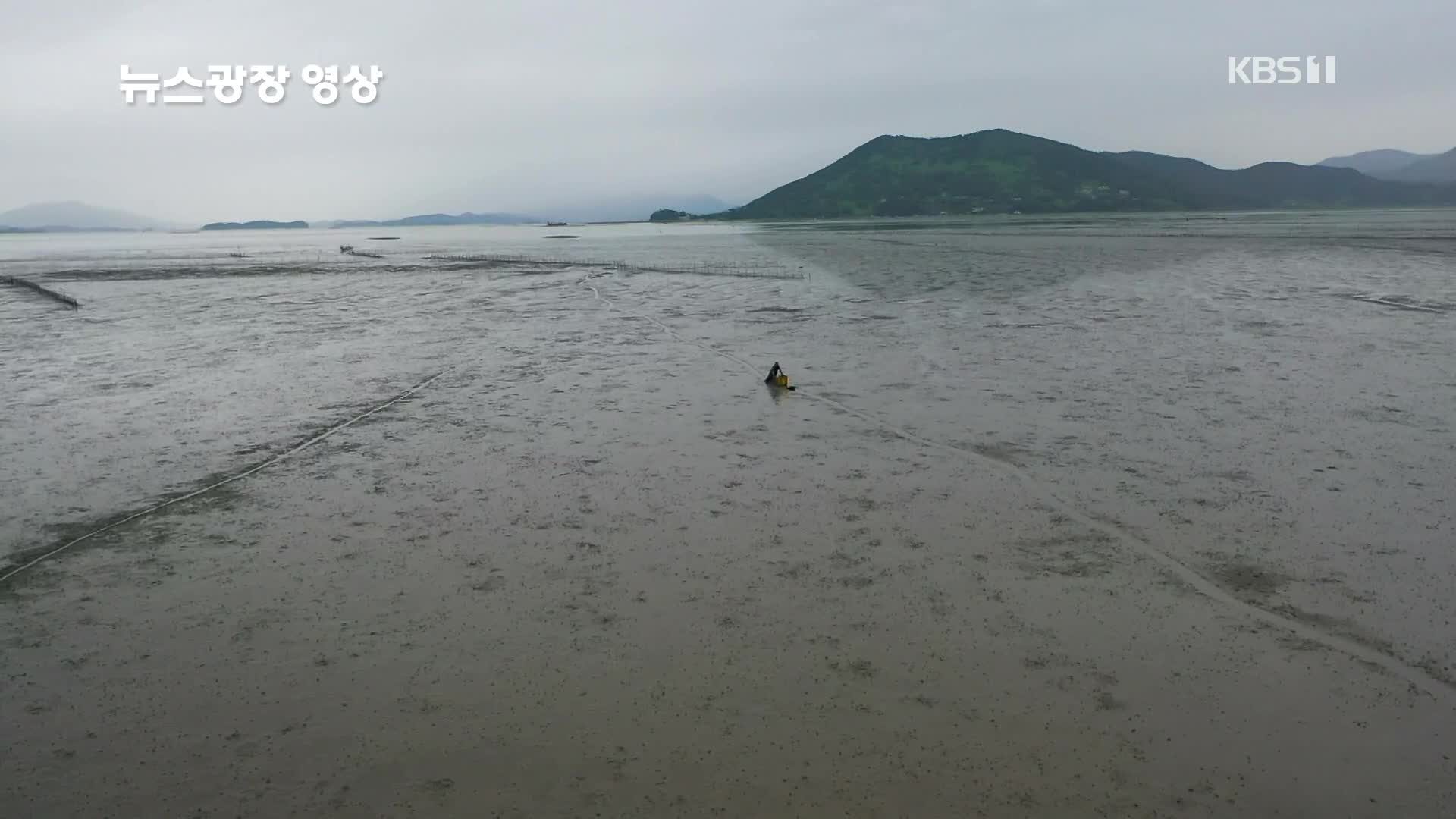 [뉴스광장 영상] 와온해변