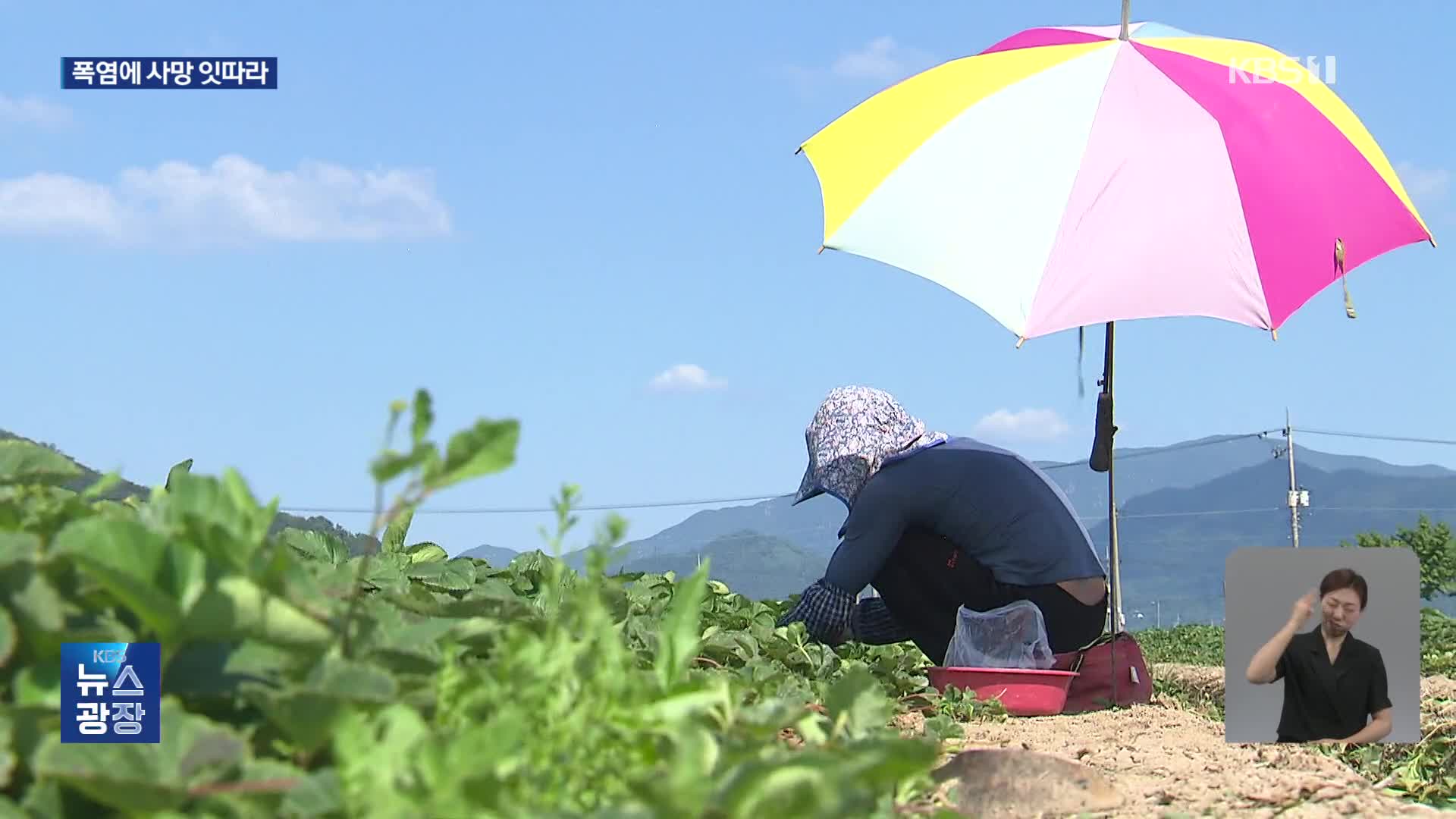 “체온 43도 육박” 온열질환자 속출…누적 사망자 10명