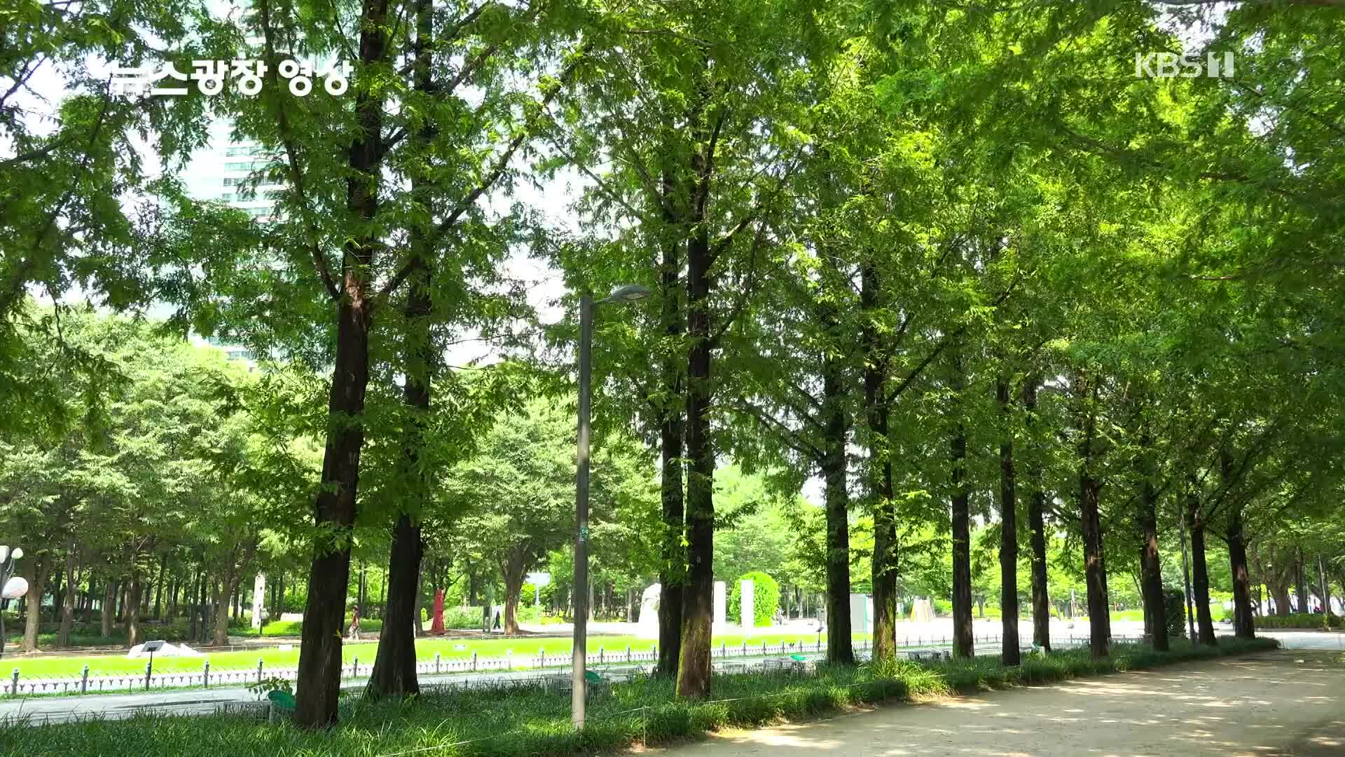 [뉴스광장 영상] ‘서울의 숲’ 비 갠 오후