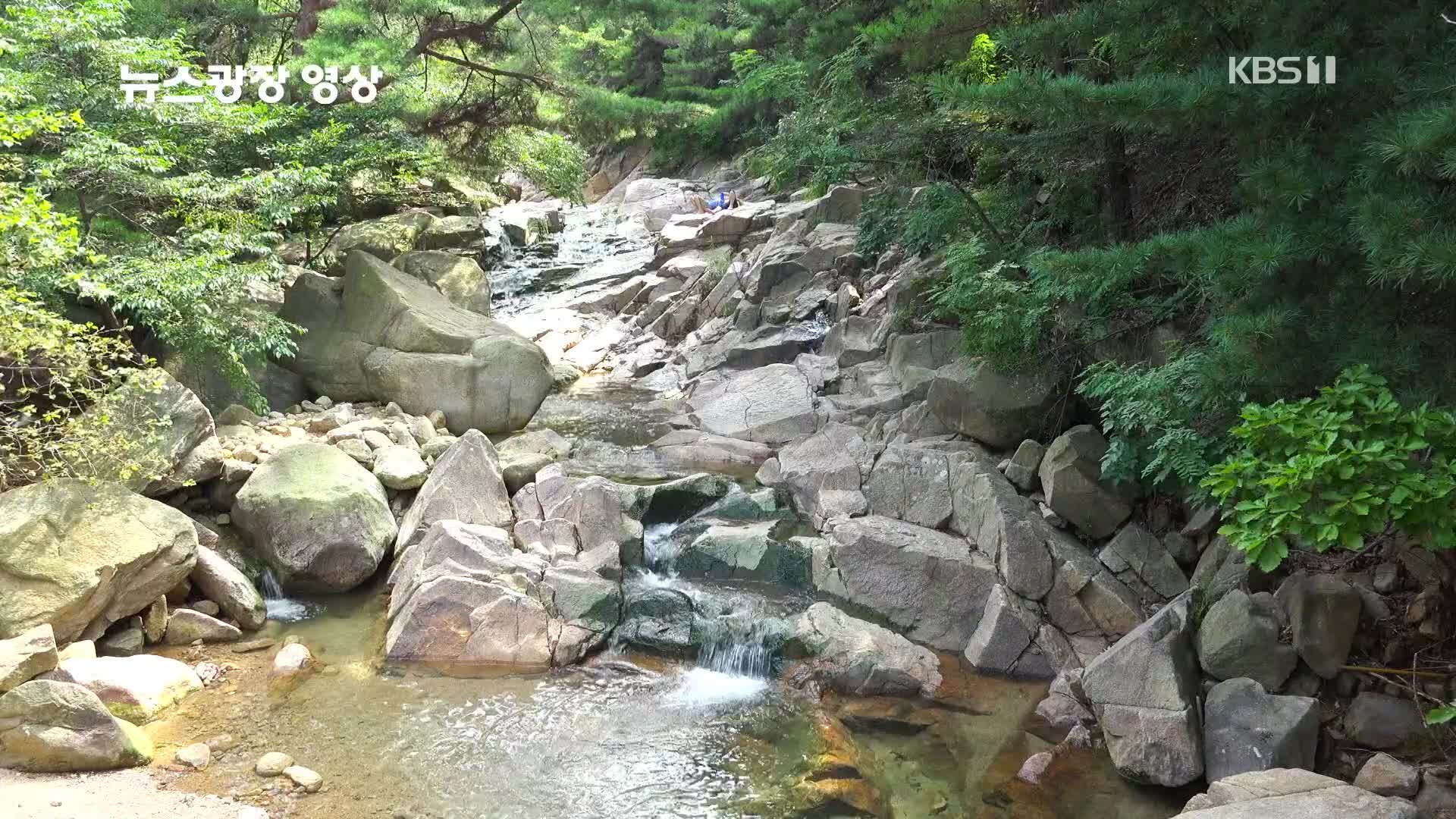 [뉴스광장 영상] 관악산계곡