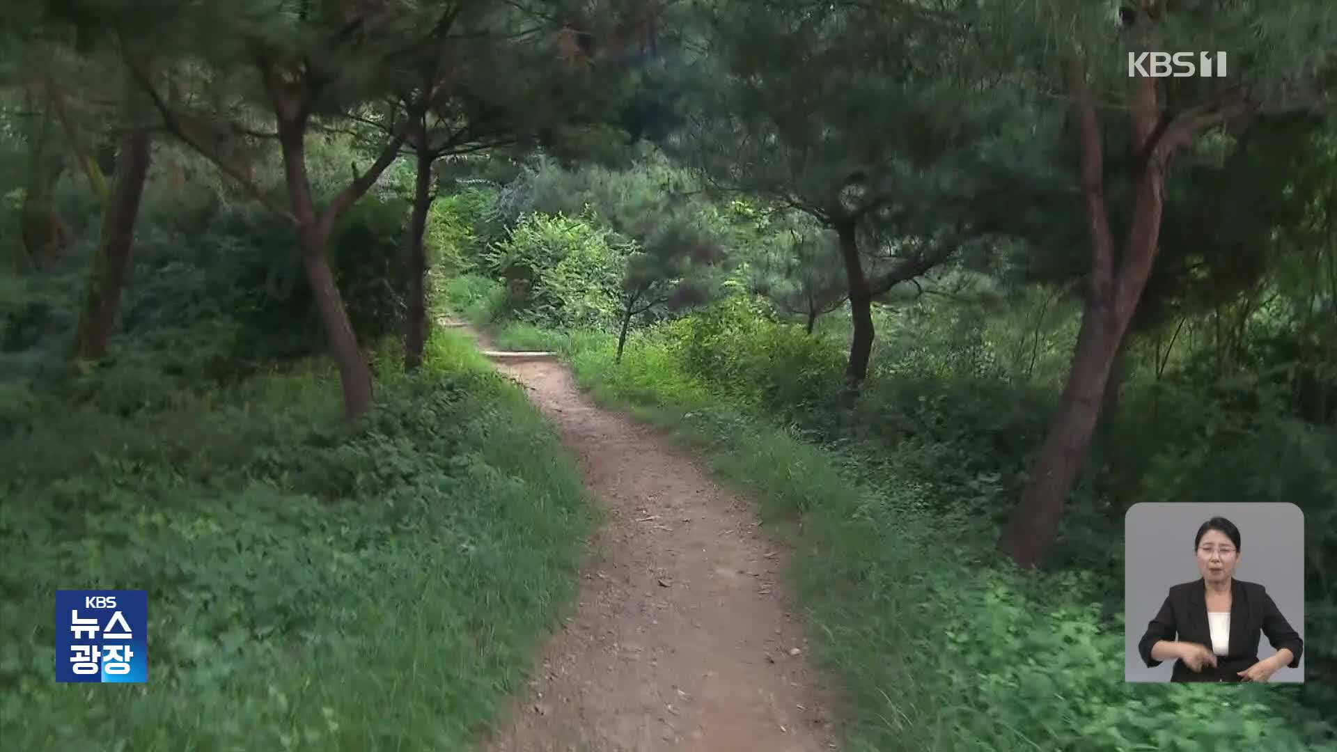 “범행 전부터 배회”…특별치안에도 또 도심 흉악범죄