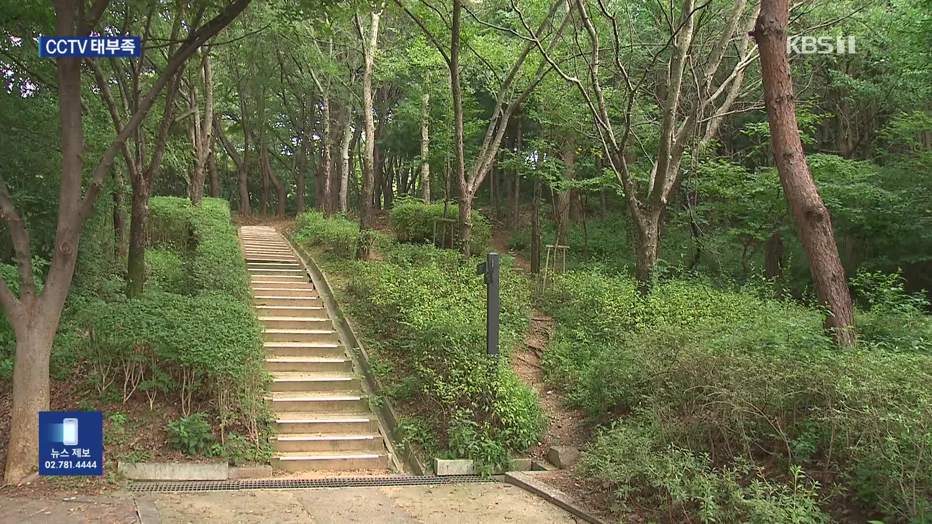 ‘등산로·산책로 범죄’ 잇따르는데…CCTV는 태부족