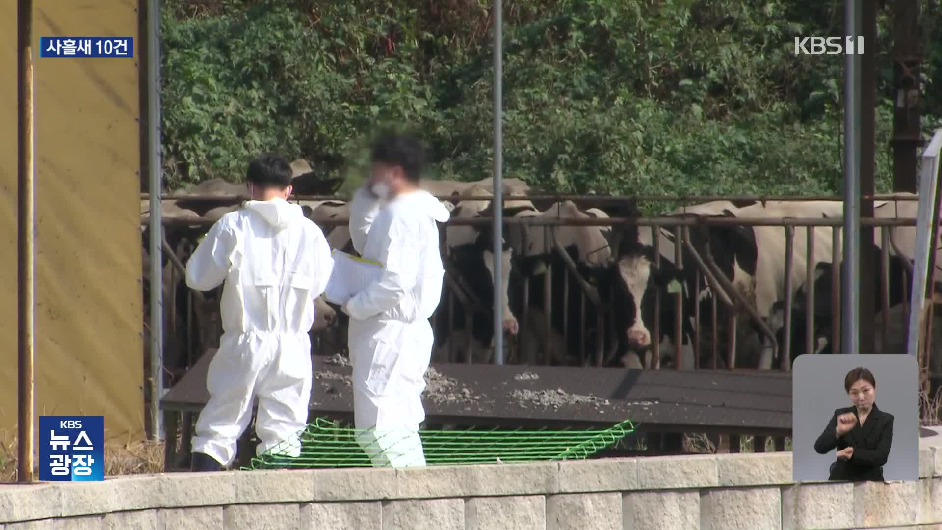 경기·충남서 럼피스킨병 확진 6건 추가…사흘 새 10건으로 늘어