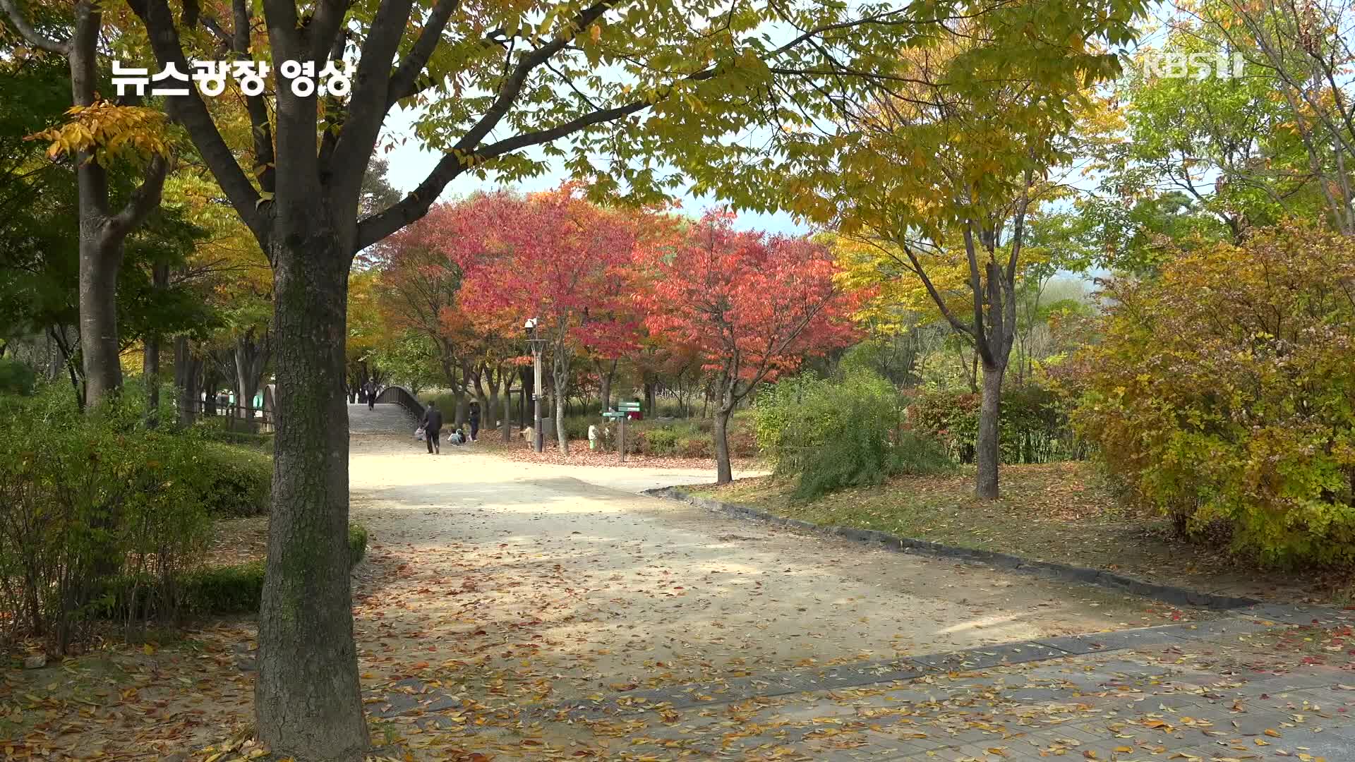 [뉴스광장 영상] 서울창포원