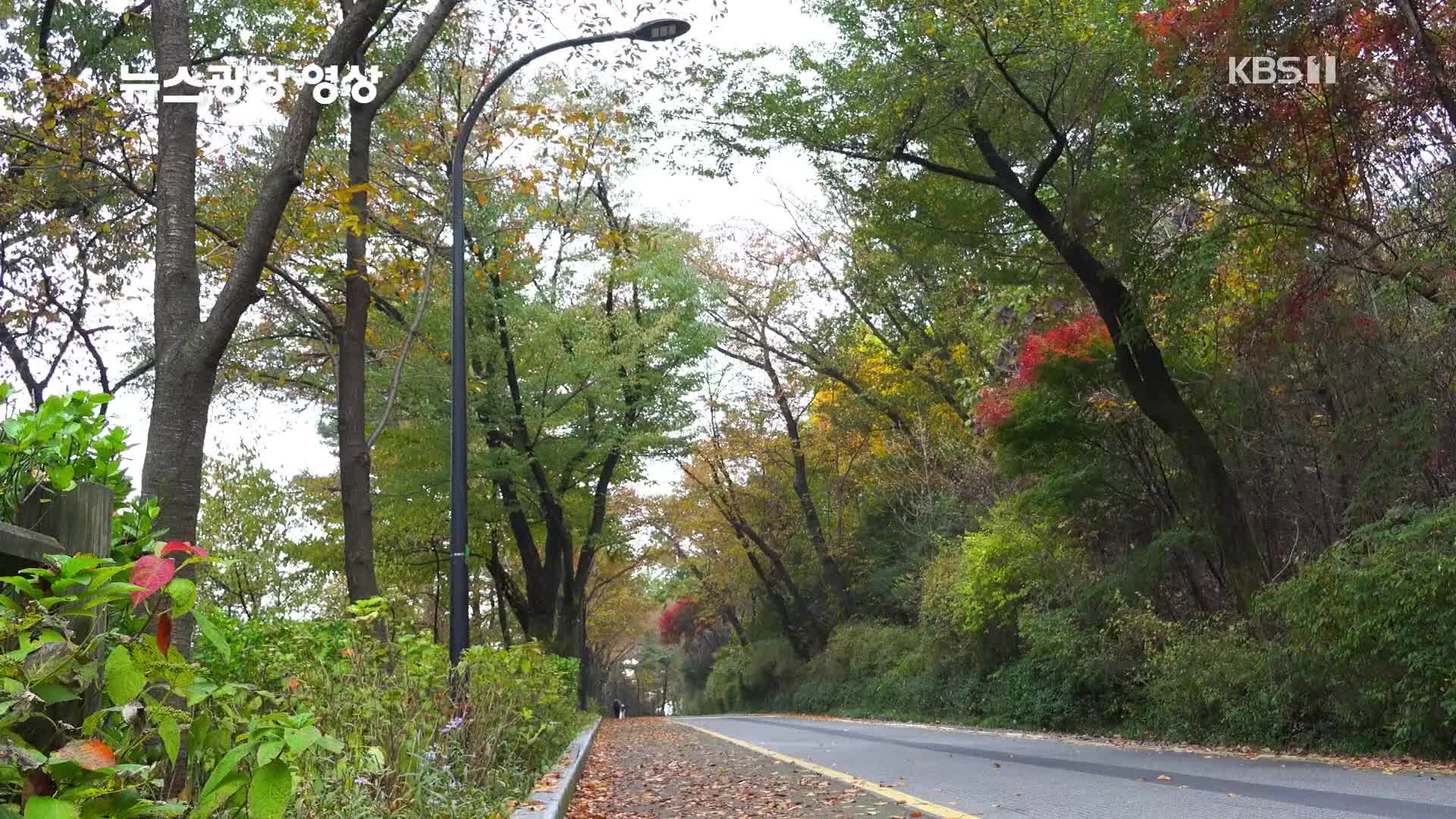 [뉴스광장 영상] 남산 가는 길