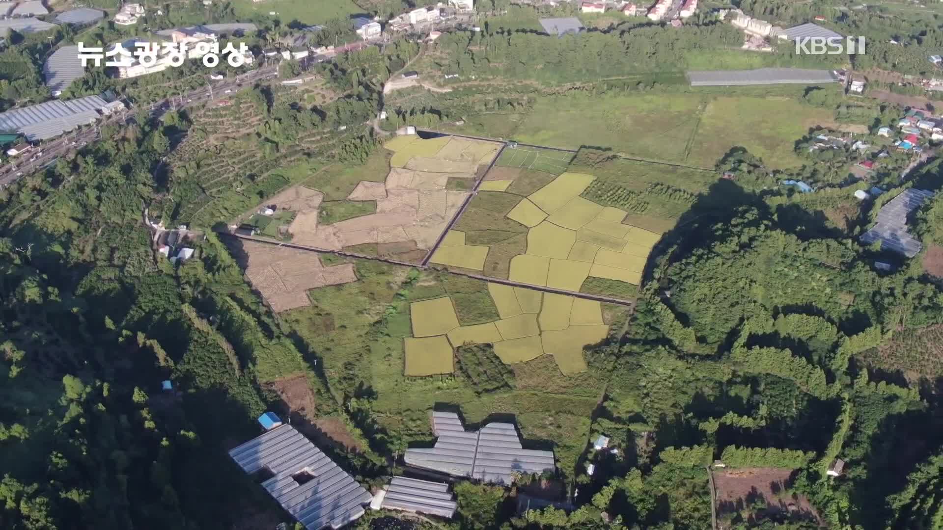 [뉴스광장 영상] 하논분화구