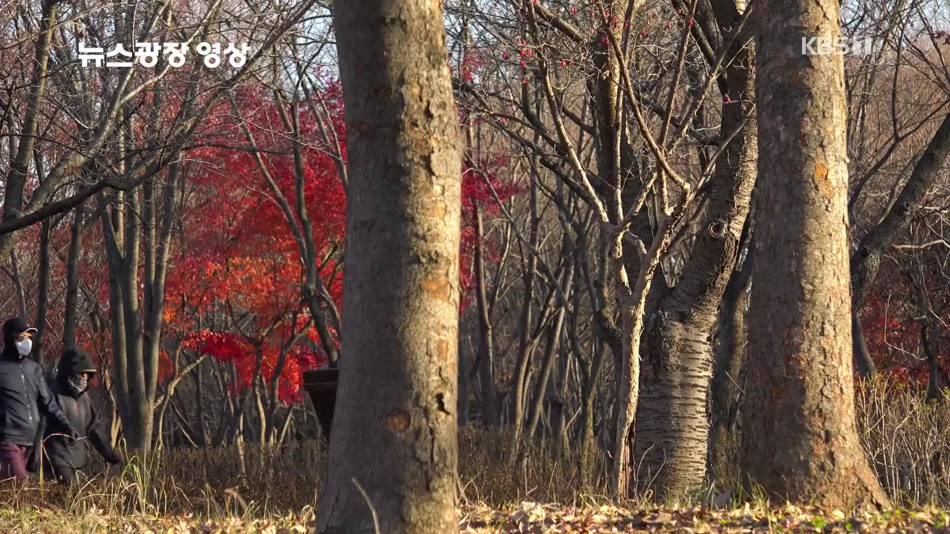 [뉴스광장 영상] 하남 나무고아원