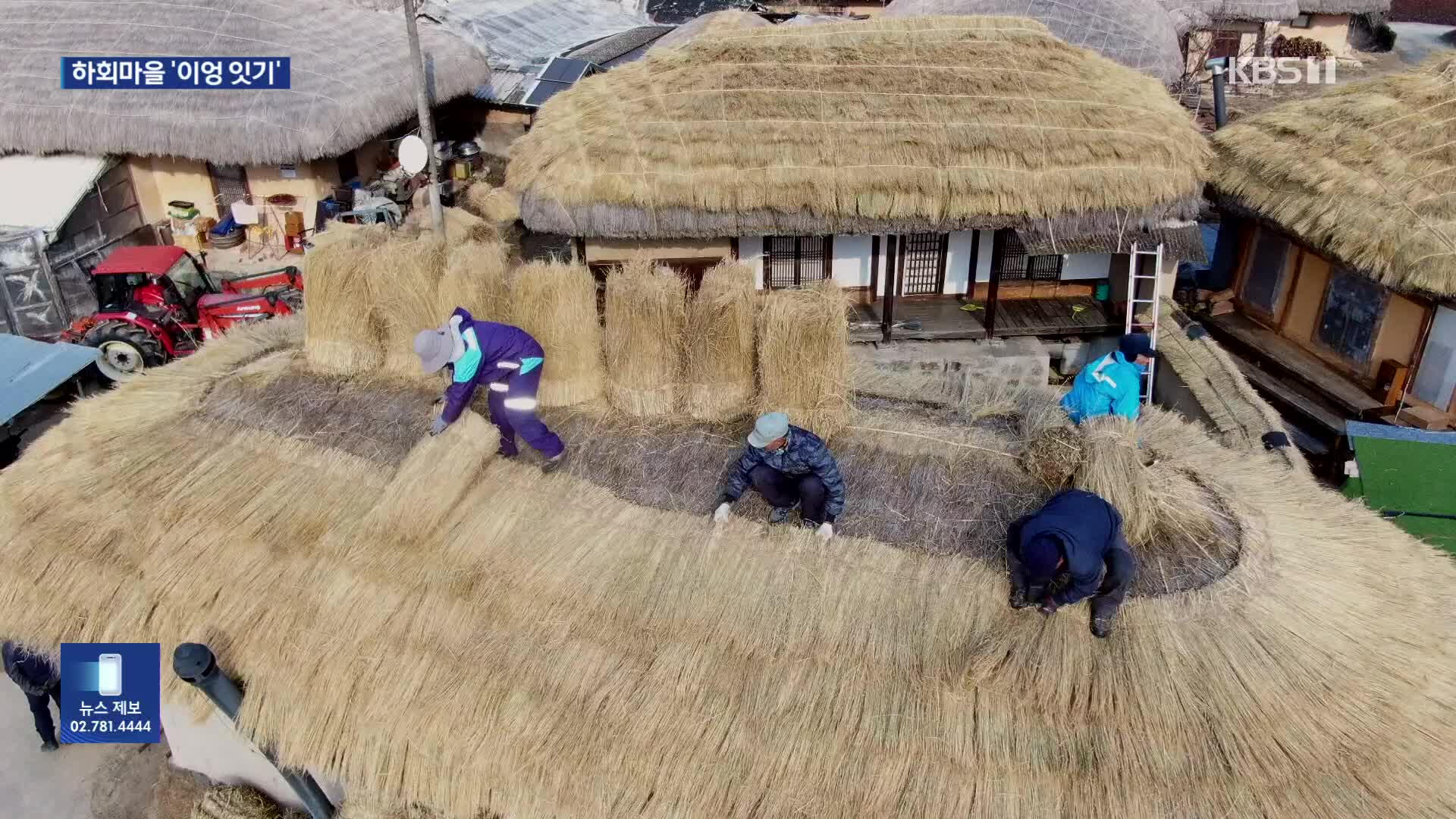 하회마을 초가 이엉잇기…새 볏짚으로 겨울 채비