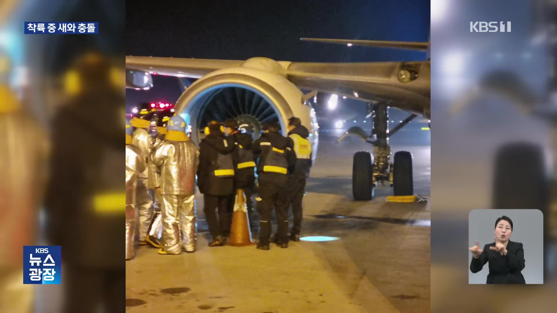 여객기, 인천공항 착륙 중 새와 충돌…밤사이 사건사고