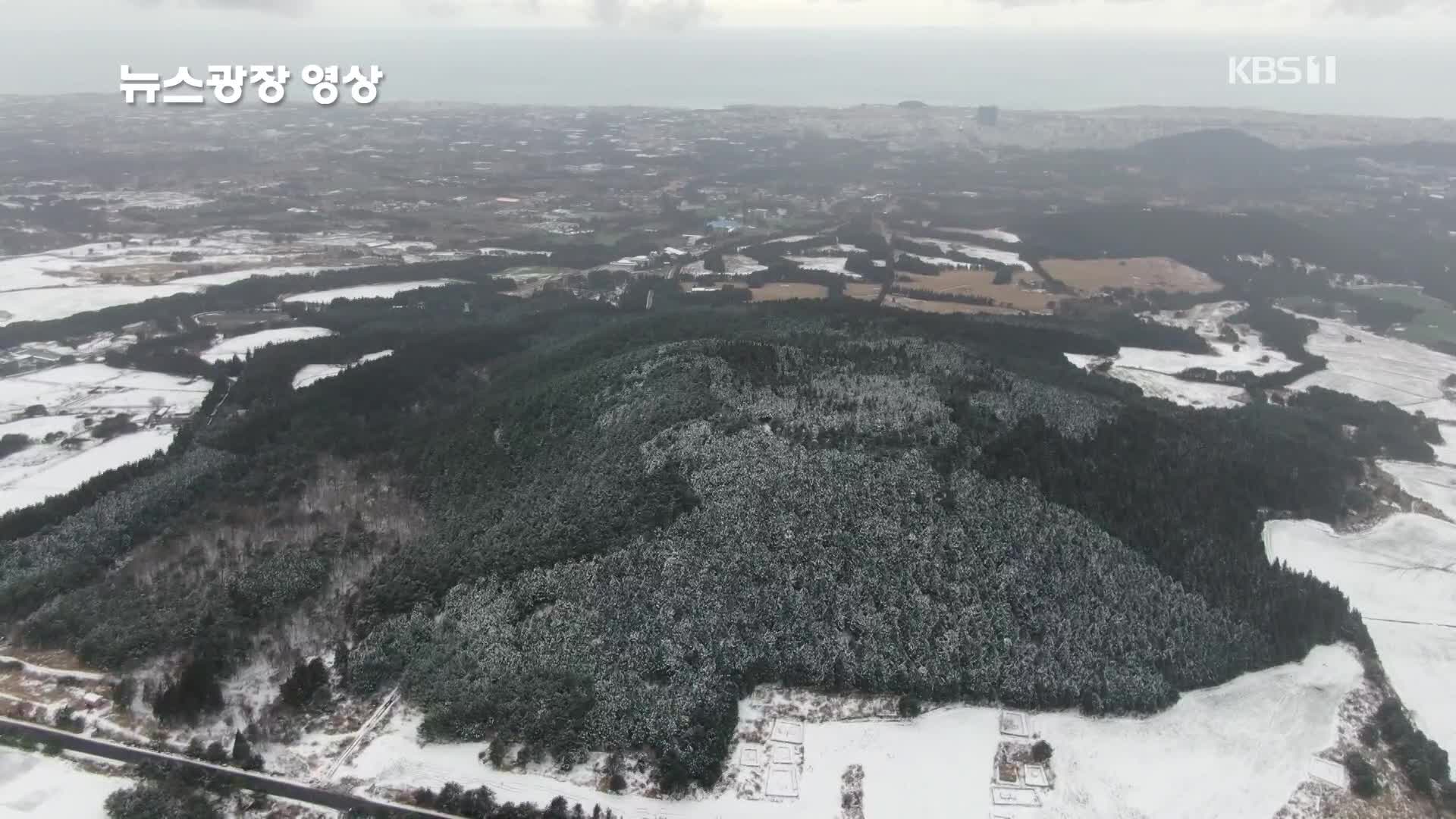 [뉴스광장 영상] 노루손이오름