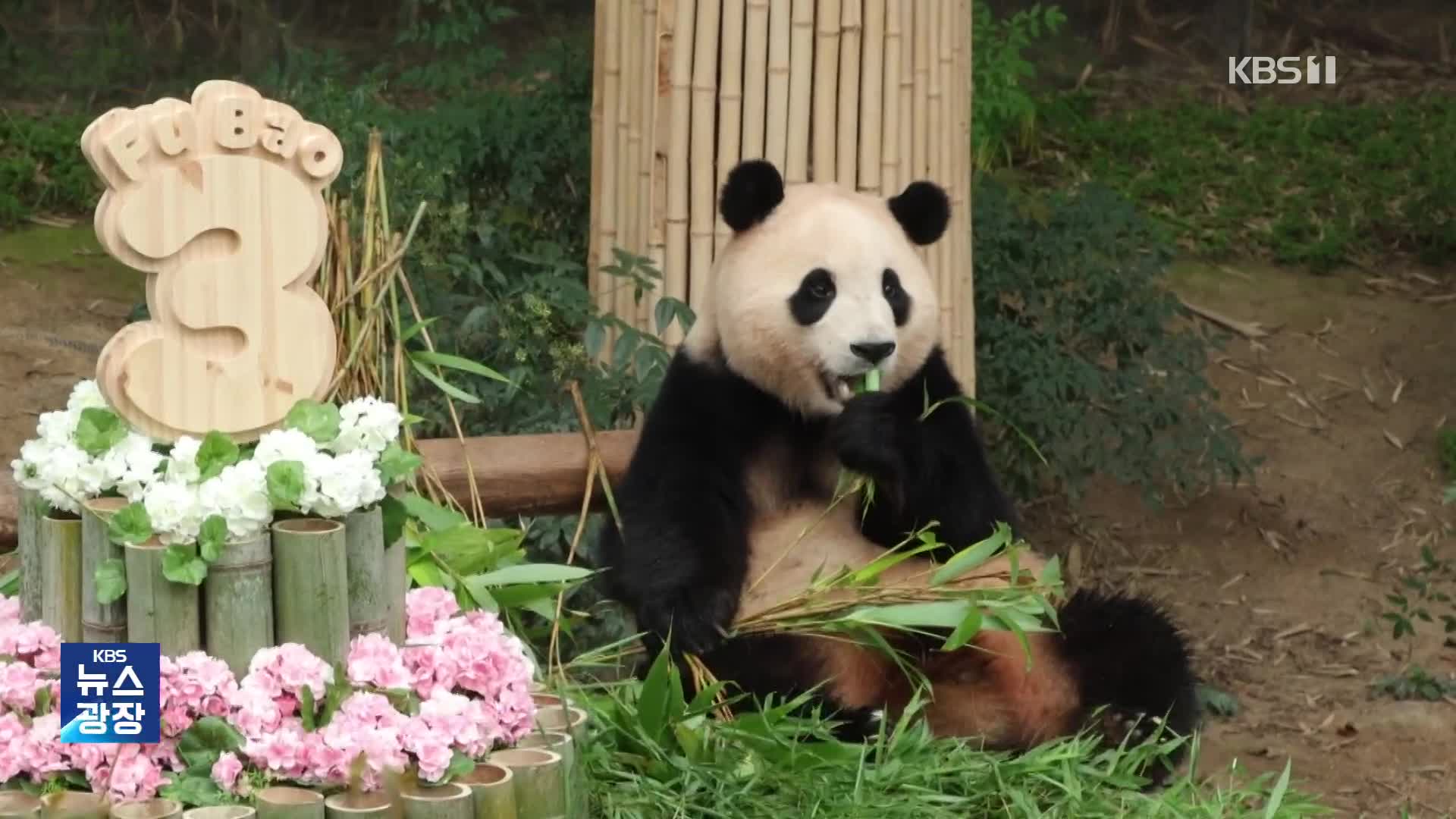 “가지 마, 푸바오!”…푸바오 앓이 ‘오픈런’