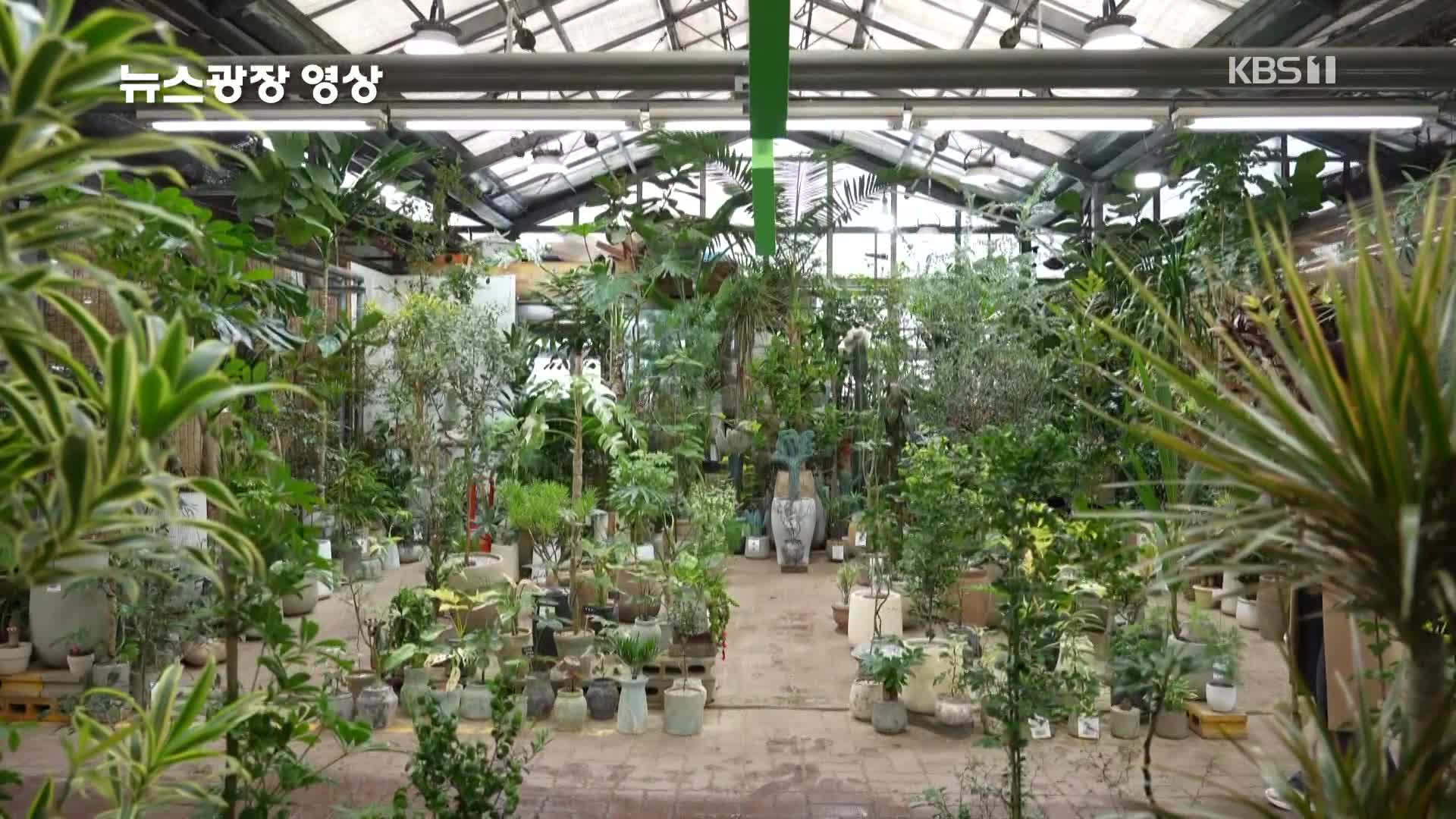 [뉴스광장 영상] 초록빛 온실