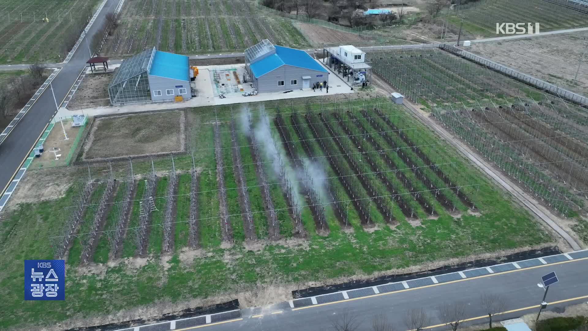 “과일 수입만이 능사 아냐…안정적 생산 체계 갖춰야”