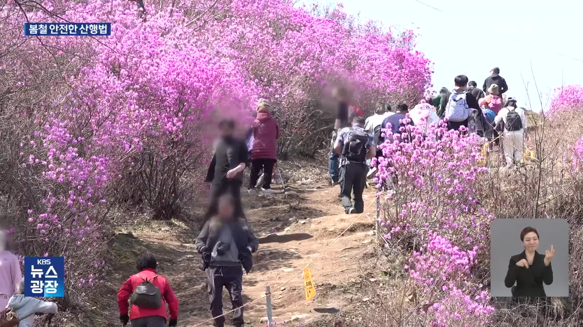 건강 챙기려다 탈 난다…봄철 등산 주의